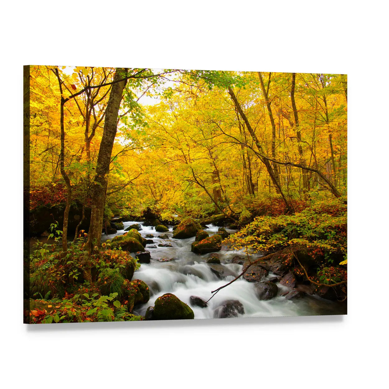 Autumn Colors Of Oirase River Canvas Wall Art, single panel gallery wrapped canvas, angled product view