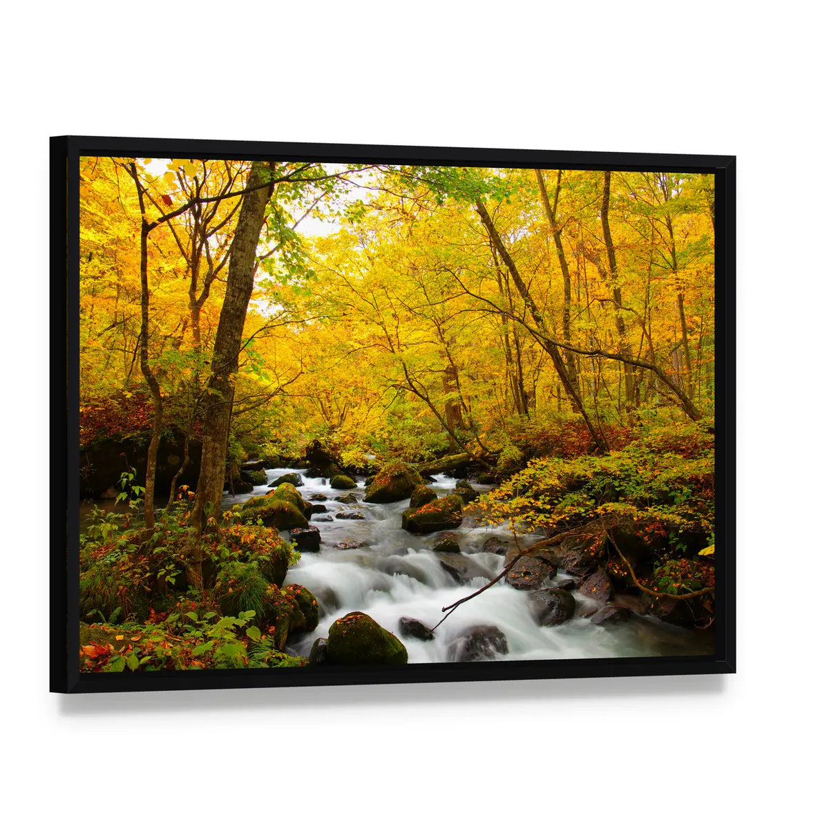 Autumn Colors Of Oirase River Canvas Wall Art, framed canvas in a black floater frame, angled product view