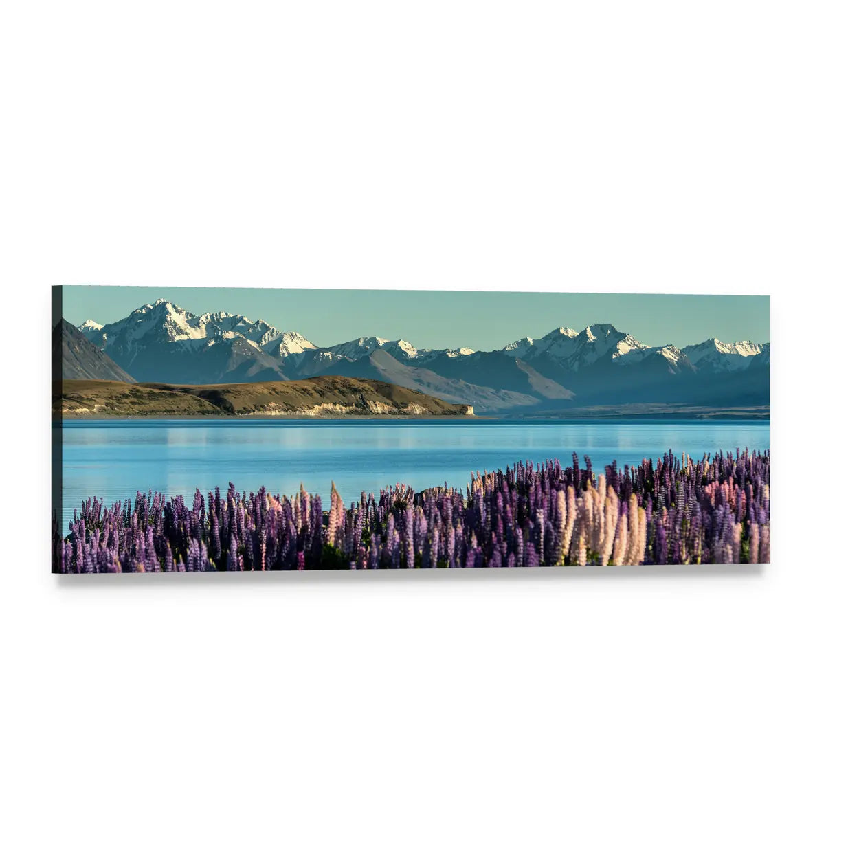 Lake Tekapo Lupines and Snowy Peaks Panoramic Canvas Wall Art, single panel gallery wrapped canvas, angled product view