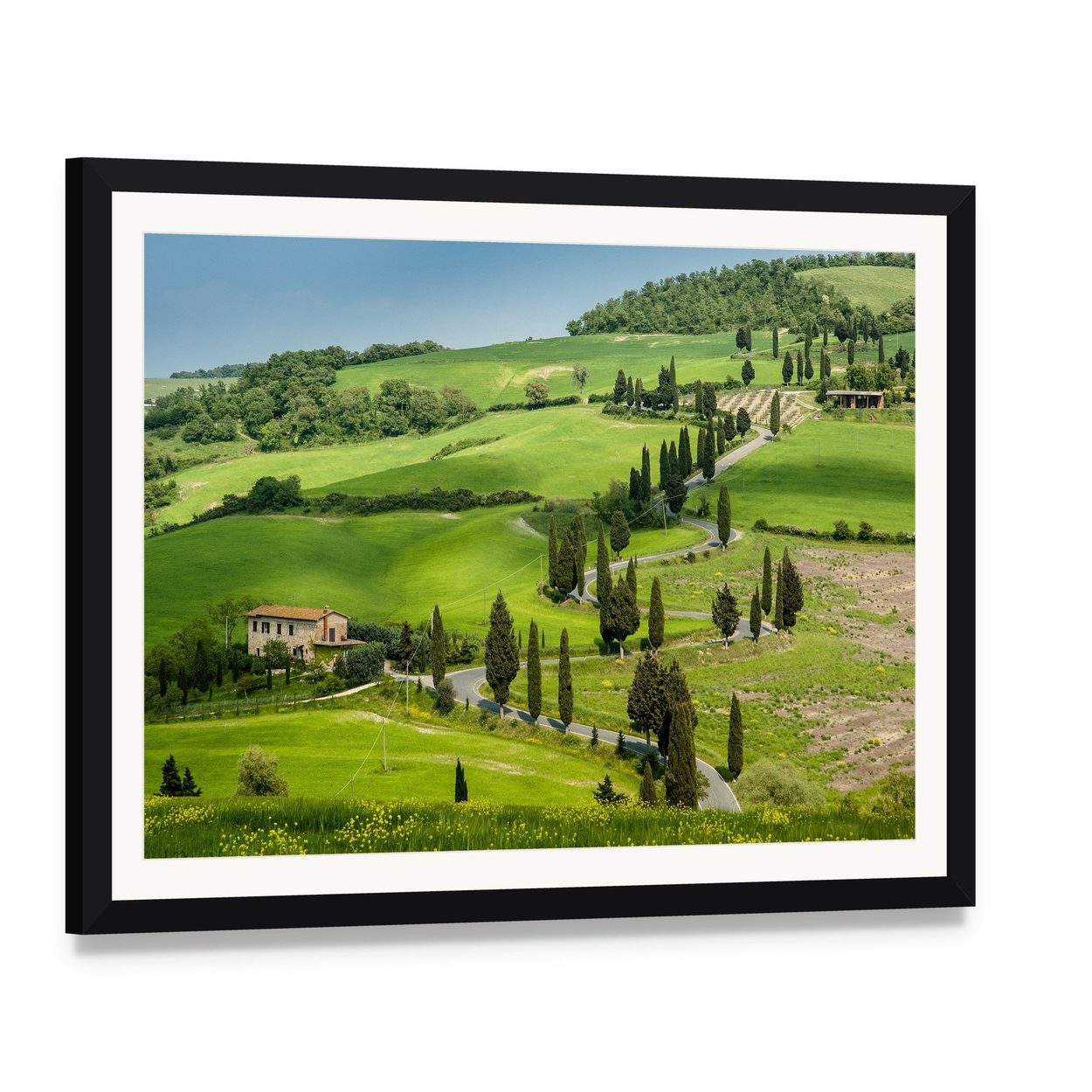 Winding Road with Cypress Trees Canvas Wall Art, framed print with white mat and black frame, angled product view