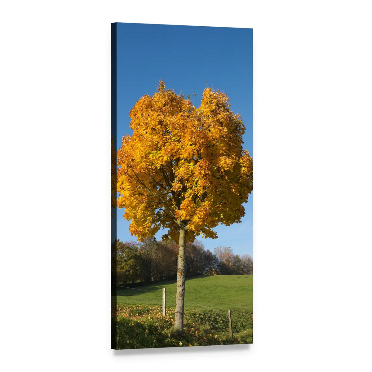 Golden Autumn Tree Vertical Canvas Wall Art, 1 panel 1 Vertical layout gallery wrapped canvas set, angled product view
