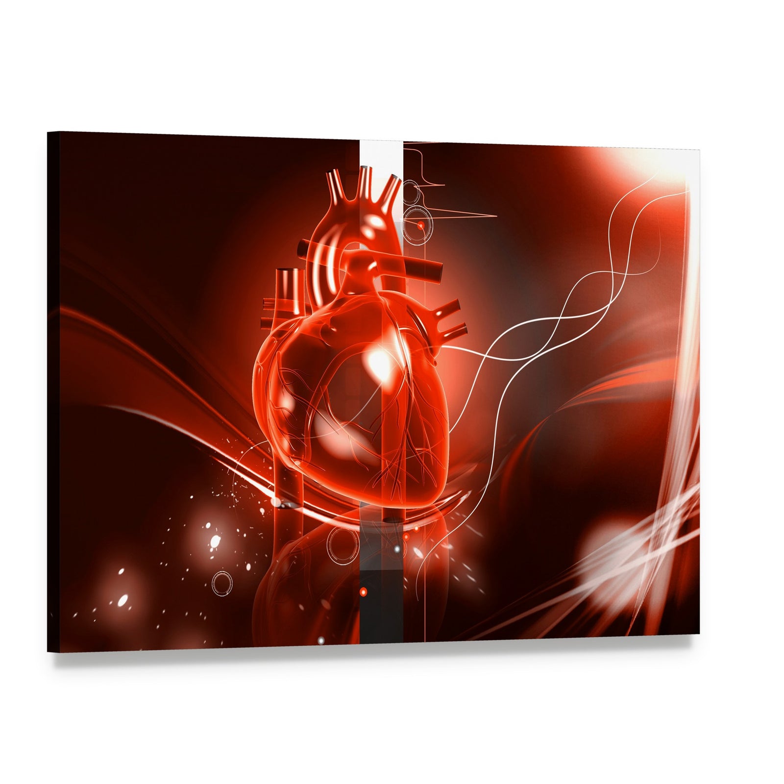 Glowing Red Anatomical Heart Canvas Wall Art, single panel gallery wrapped canvas, angled product view