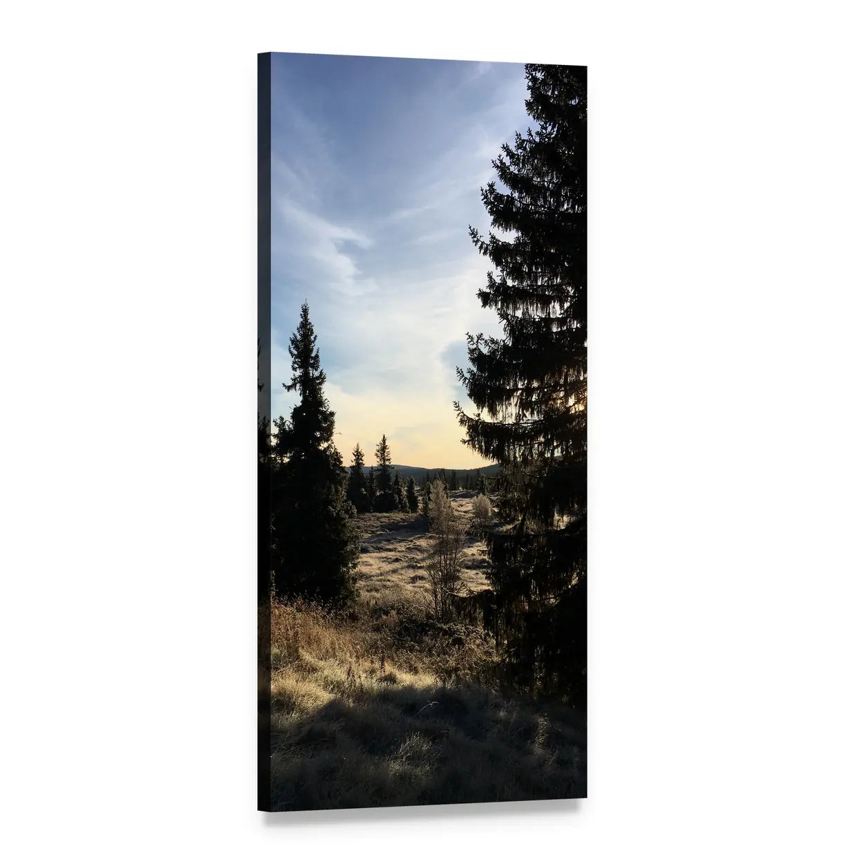 Sunlit Evergreens on Frosted Mountain Vertical Canvas Wall Art, 1 panel 1 Vertical layout gallery wrapped canvas set, angled product view