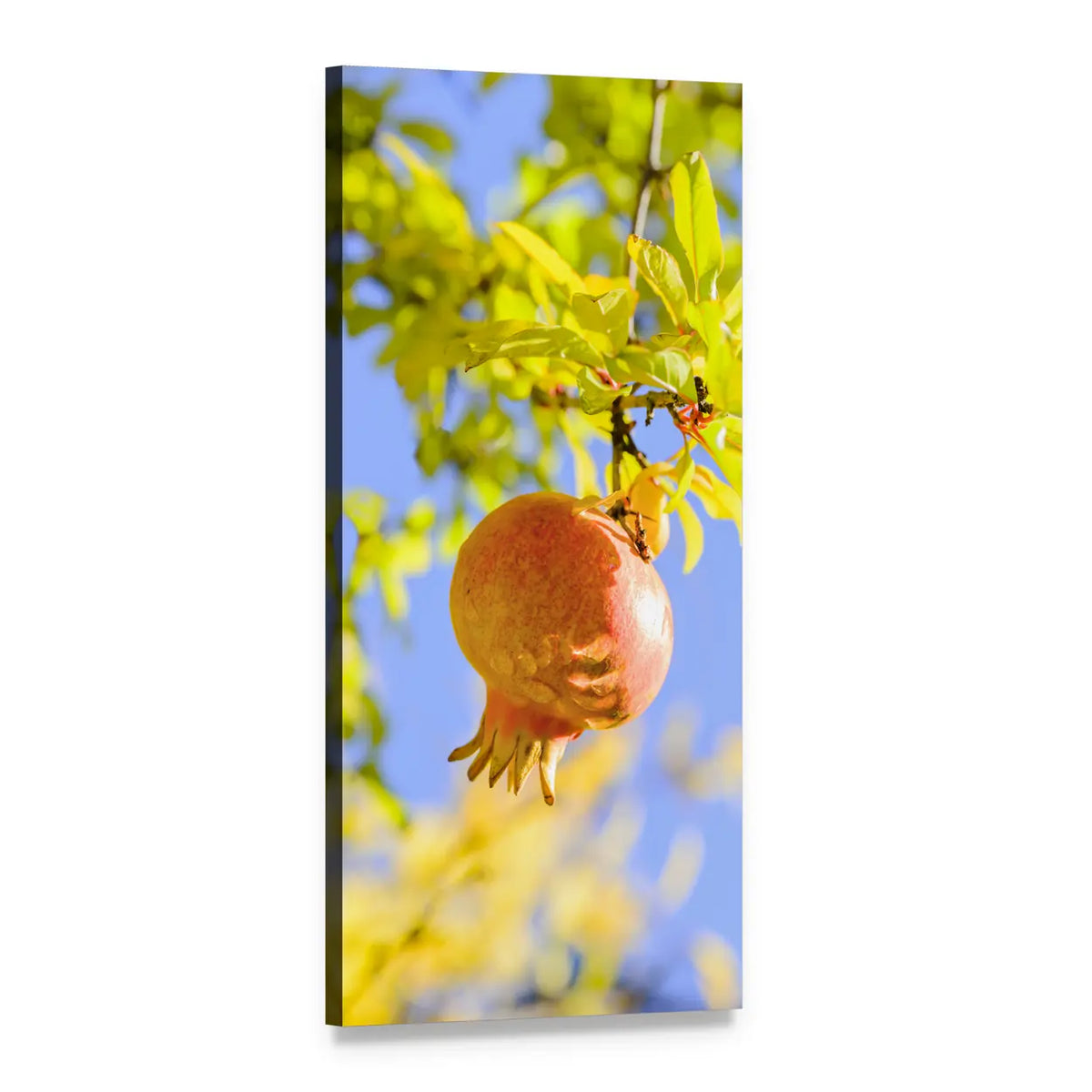 Ripe Pomegranate on Branch Vertical Canvas Wall Art, 1 panel 1 Vertical layout gallery wrapped canvas set, angled product view