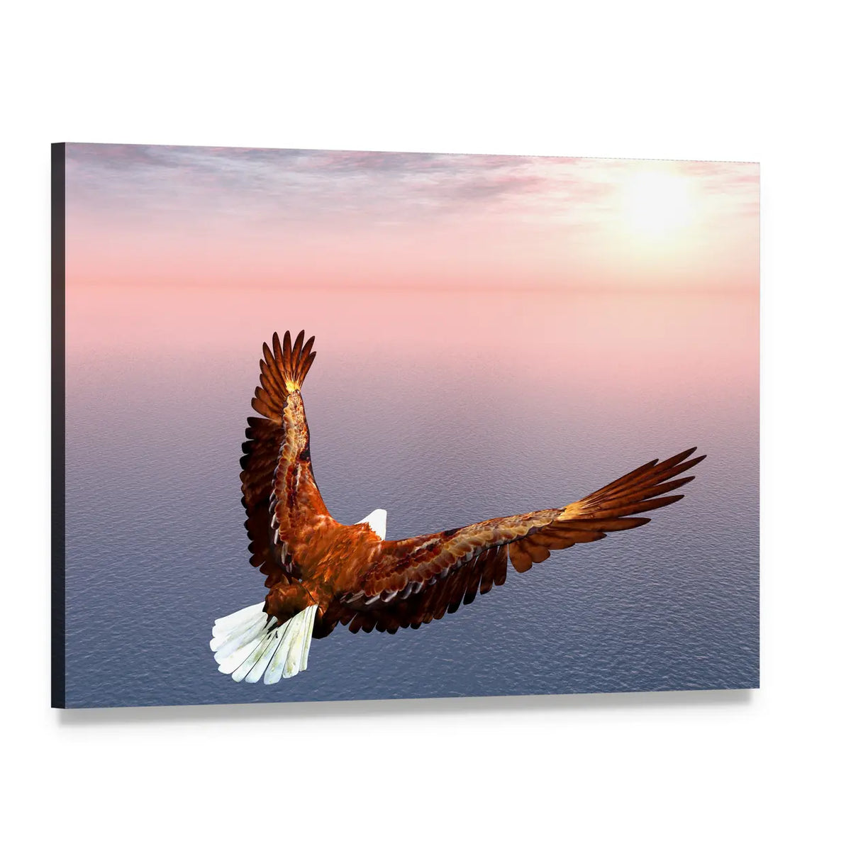 Bald Eagle Over Ocean at Sunset Canvas Wall Art, single panel gallery wrapped canvas, angled product view