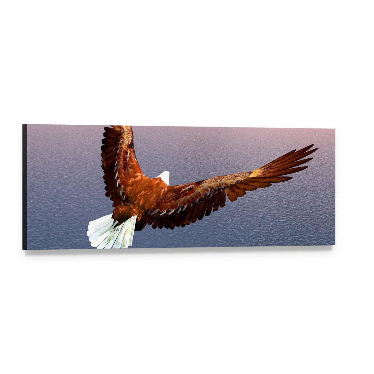 Bald Eagle Over Rippling Water Panoramic Canvas Wall Art, single panel gallery wrapped canvas, angled product view