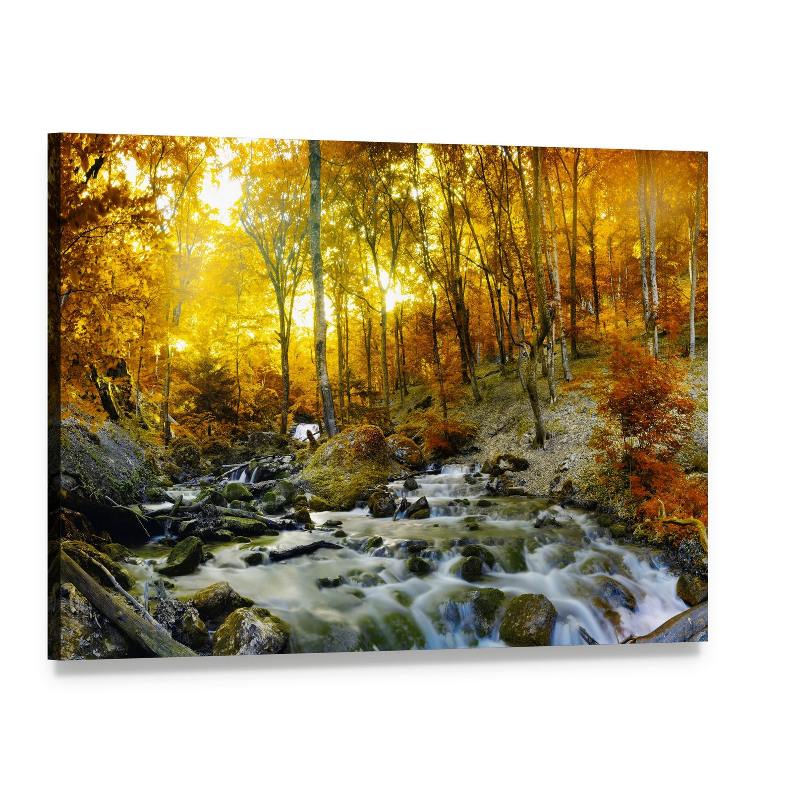 Yellow Trees Foliage and Rocks in Forest Canvas Wall Art, single panel gallery wrapped canvas, angled product view