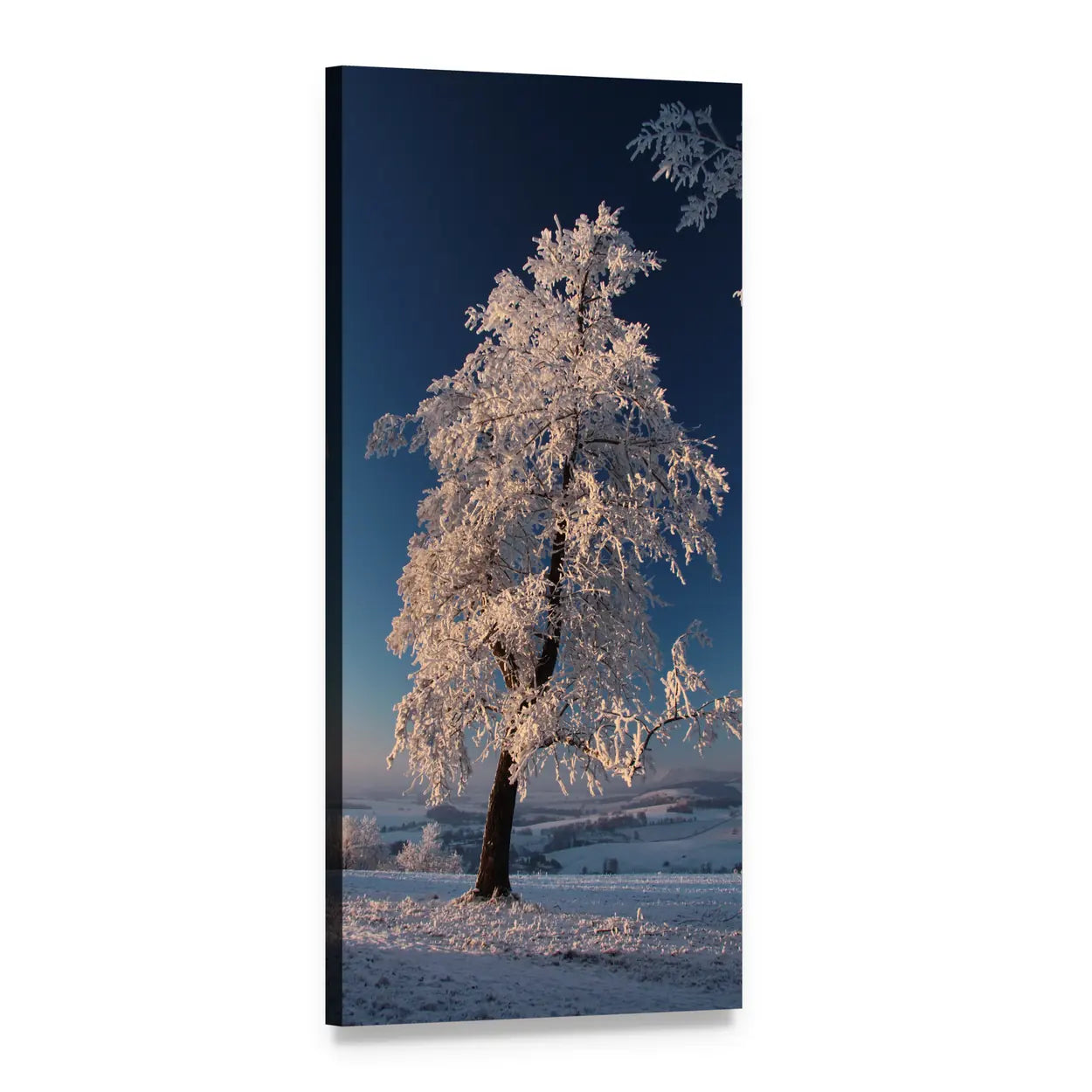 Snowy Frosted Tree in Winter Landscape Vertical Canvas Wall Art, 1 panel 1 Vertical layout gallery wrapped canvas set, angled product view