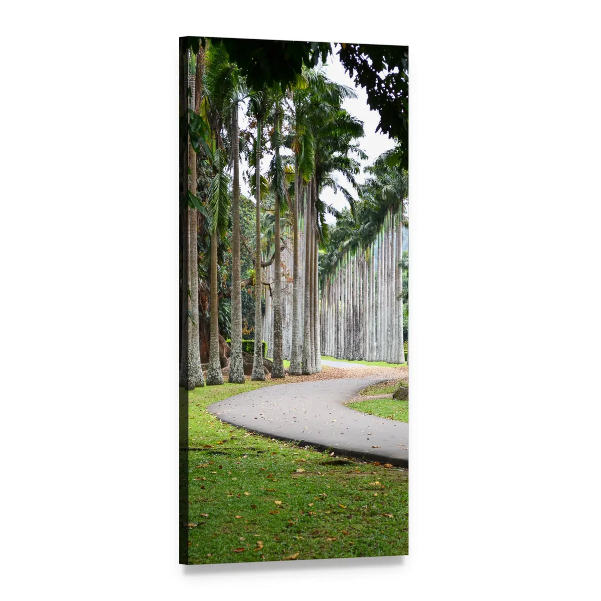 Winding Paved Path with Palm Trees Vertical Canvas Wall Art, 1 panel 1 Vertical layout gallery wrapped canvas set, angled product view