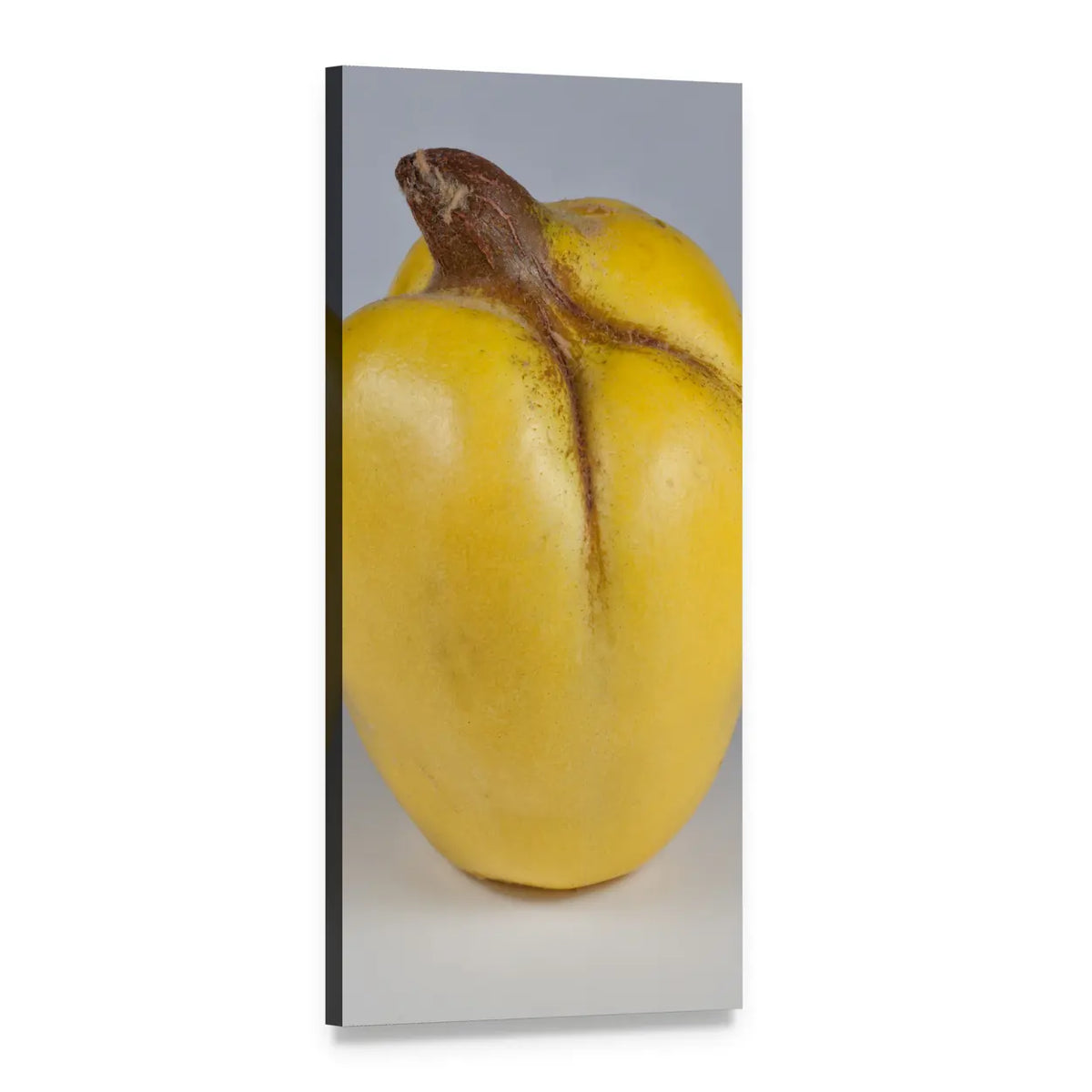 Single Yellow Quince Close-up Vertical Canvas Wall Art, 1 panel 1 Vertical layout gallery wrapped canvas set, angled product view