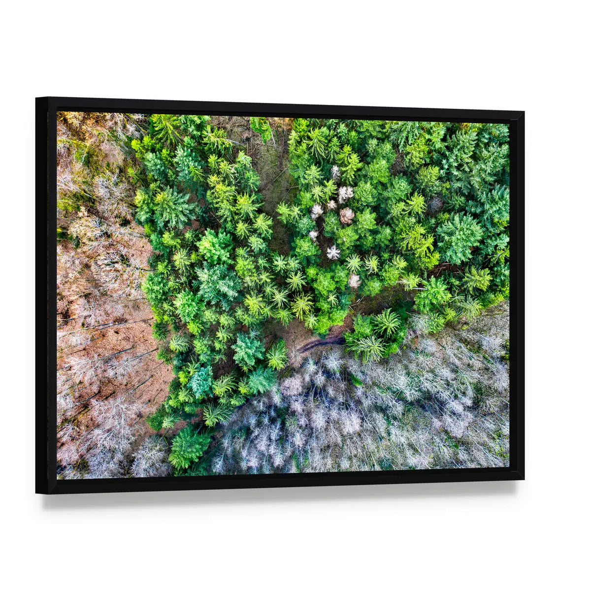 Aerial View Of Trees In The Vosges Mountains In Alsace France Canvas Wall Art, framed canvas in a black floater frame, angled product view