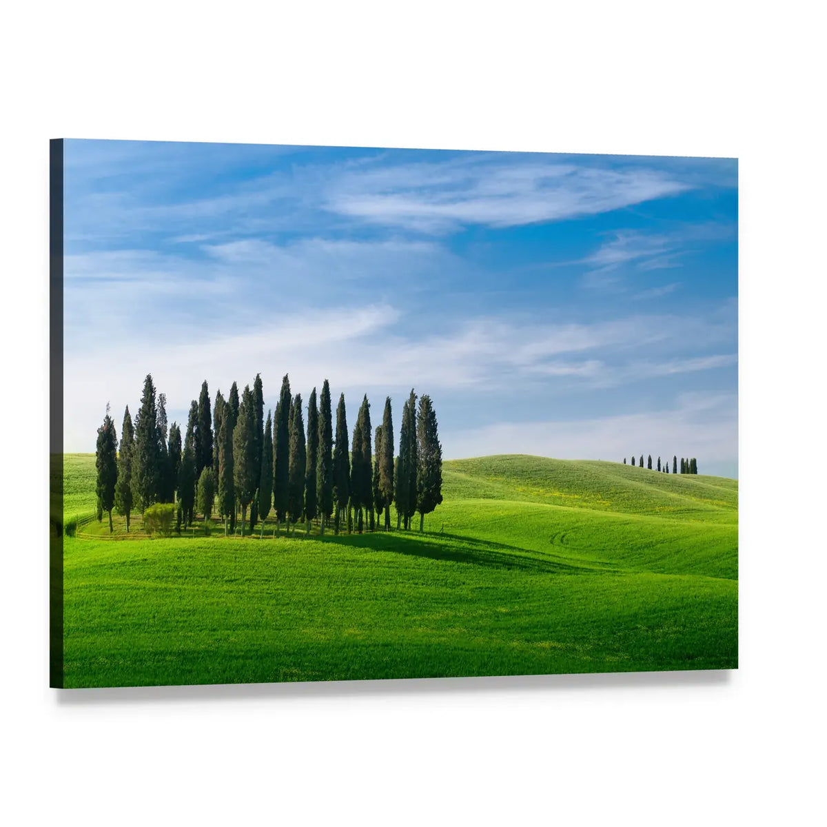 Tuscany Rolling Hills with Cypress Trees Canvas Wall Art, single panel gallery wrapped canvas, angled product view