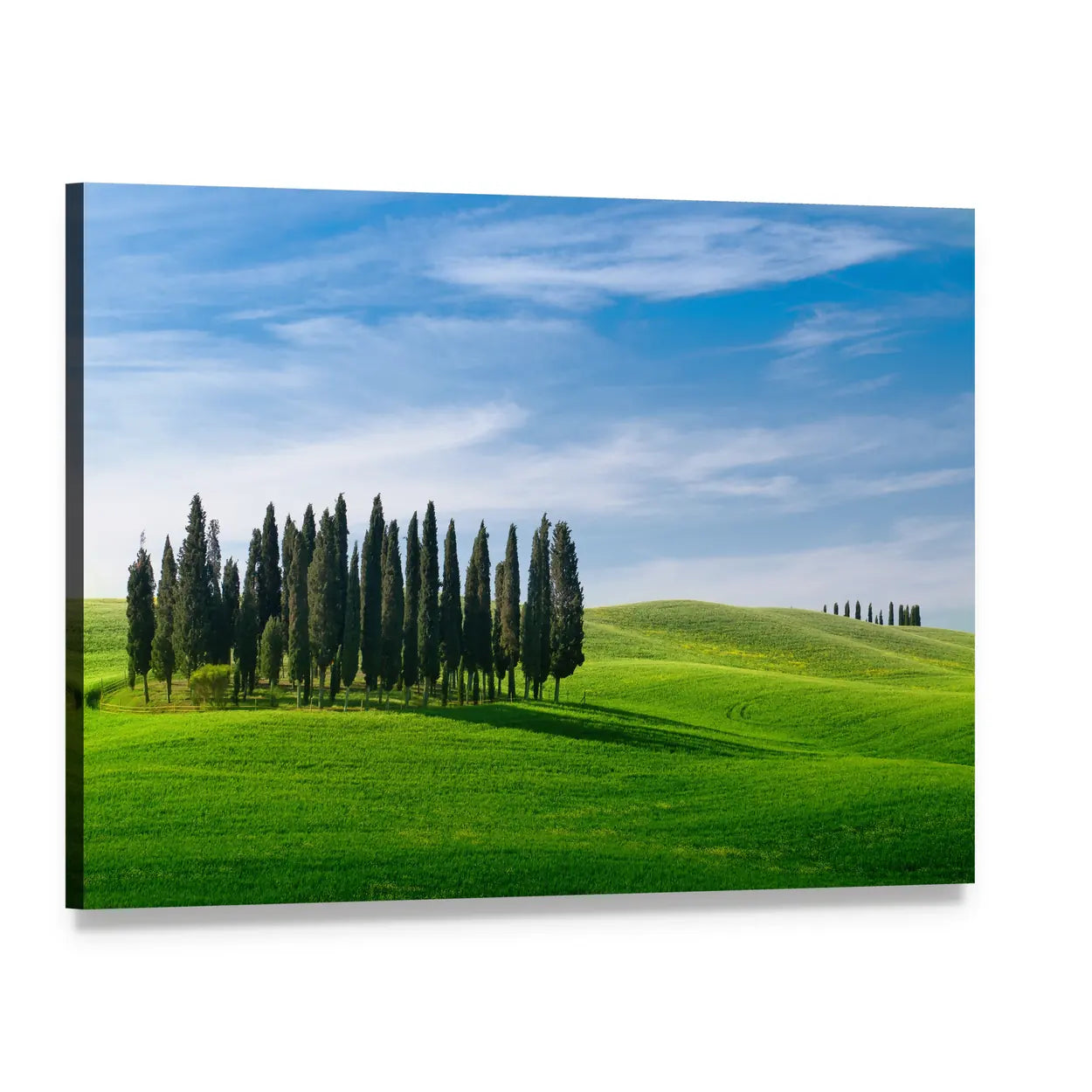 Tuscany Rolling Hills with Cypress Trees Canvas Wall Art, single panel gallery wrapped canvas, angled product view
