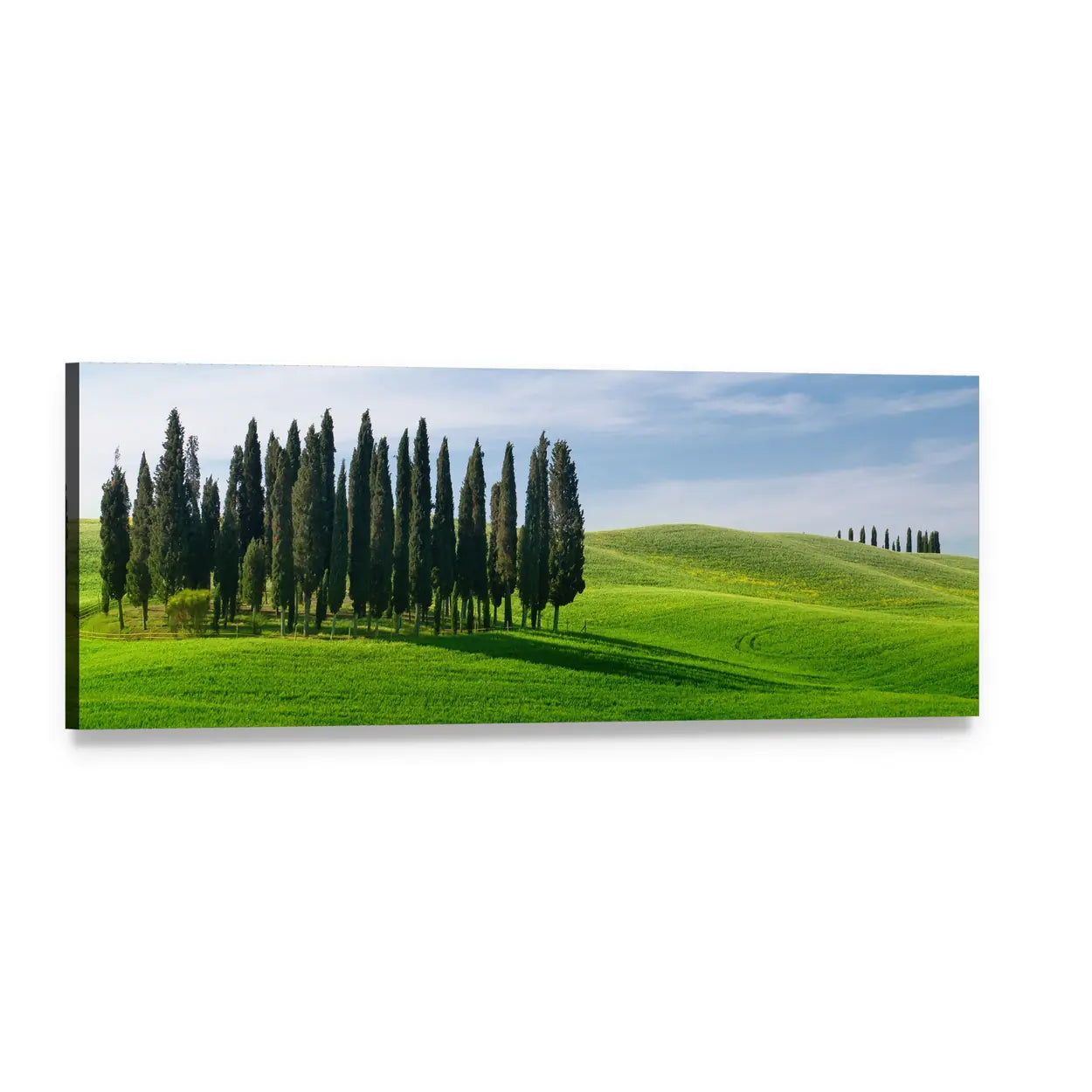 Rolling Green Hills with Cypress Trees Panoramic Canvas Wall Art, single panel gallery wrapped canvas, angled product view