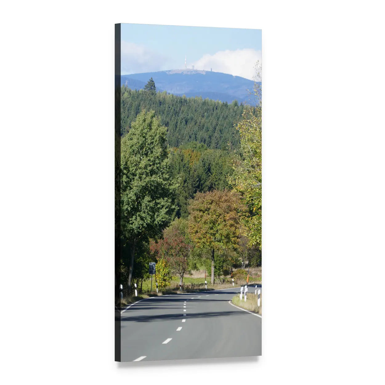 Winding Road Through Autumn Forest Vertical Canvas Wall Art, 1 panel 1 Vertical layout gallery wrapped canvas set, angled product view
