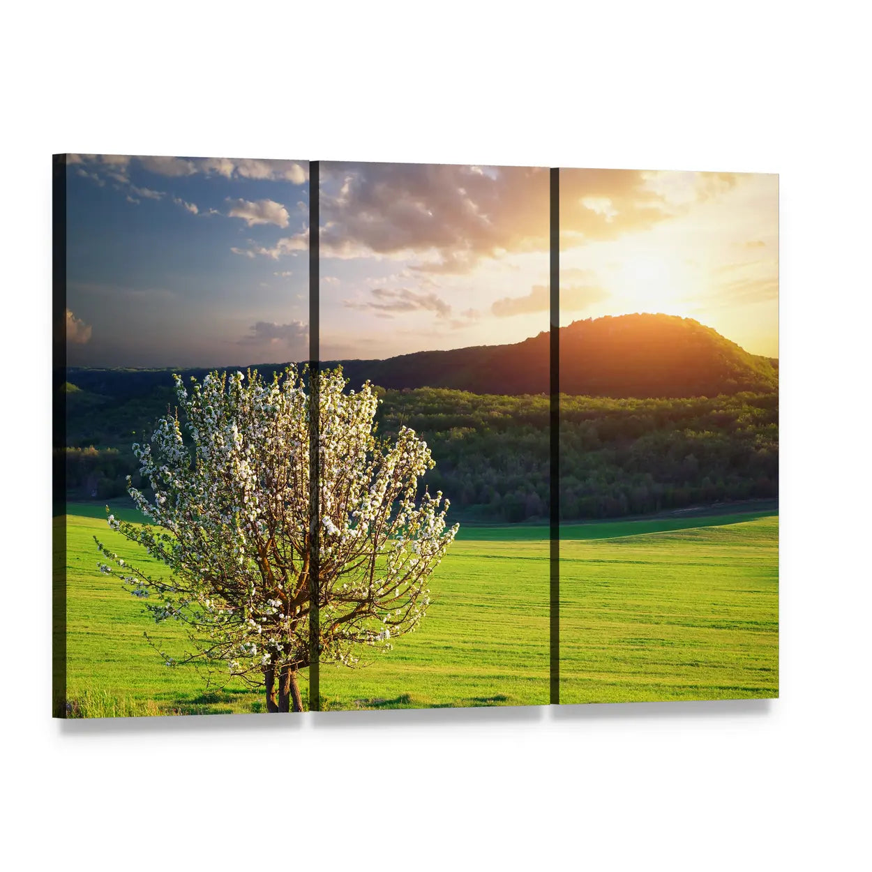 Tree in Mountain Meadow Canvas Wall Art, 3 panel 3 Horizontal layout gallery wrapped canvas set, angled product view