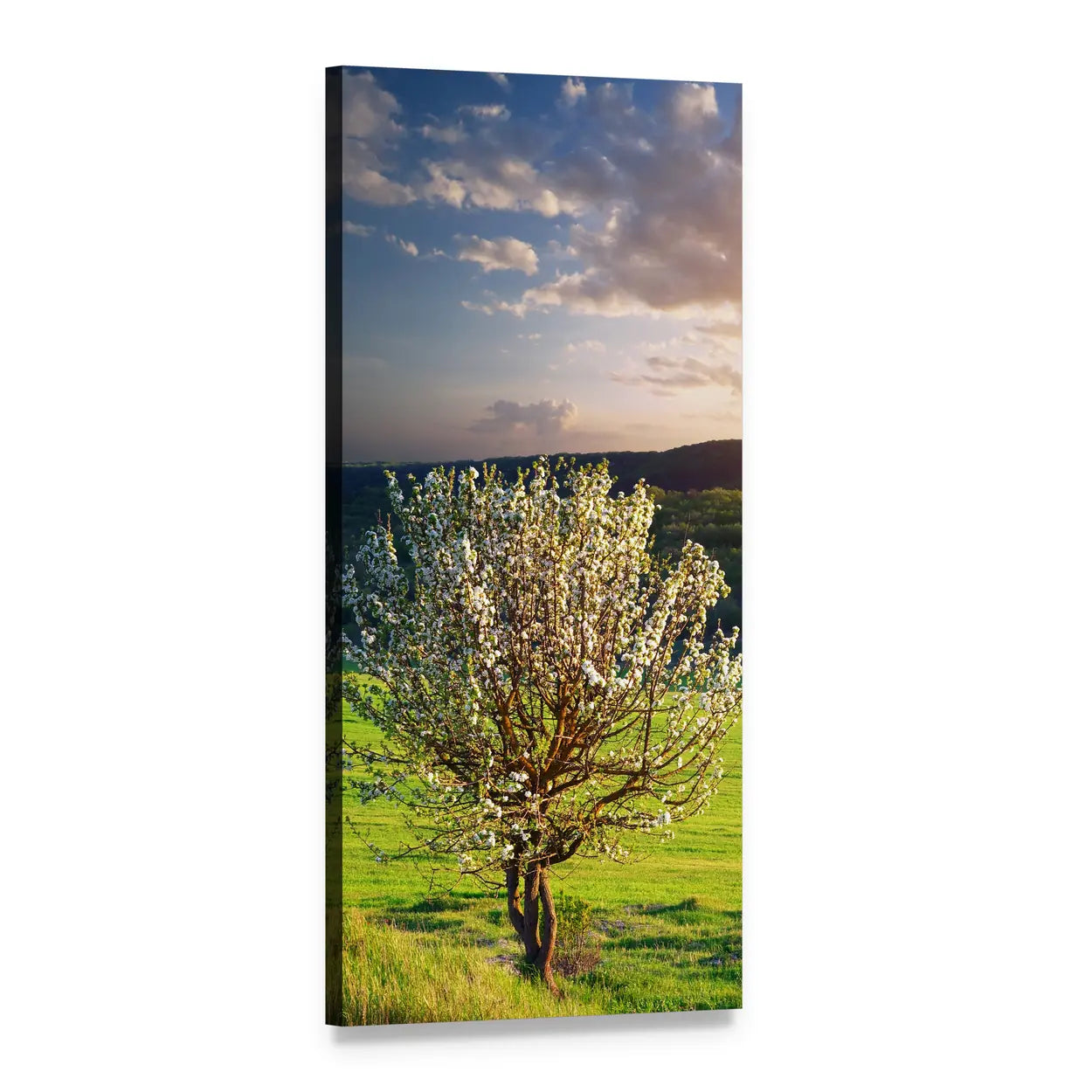 Tree in Mountain Meadow Vertical Canvas Wall Art, 1 panel 1 Vertical layout gallery wrapped canvas set, angled product view