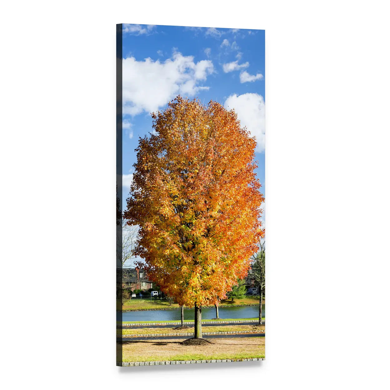 Autumn Tree by Lake Vertical Canvas Wall Art, 1 panel 1 Vertical layout gallery wrapped canvas set, angled product view