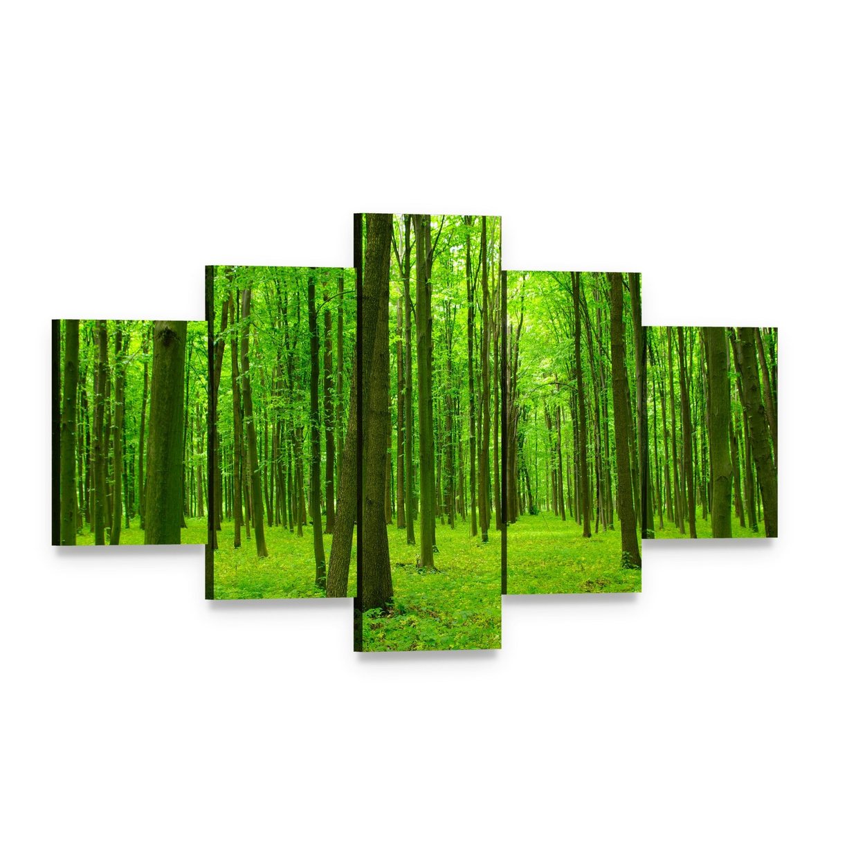 Spring Forest with Tall Trees Canvas Wall Art, 5 panel 5 Star layout gallery wrapped canvas set, angled product view