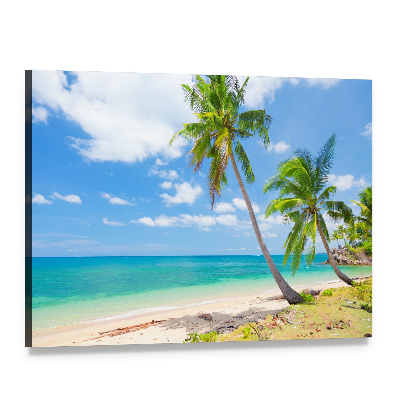 Tropical Beach with Coconut Palm Canvas Wall Art, single panel gallery wrapped canvas, angled product view