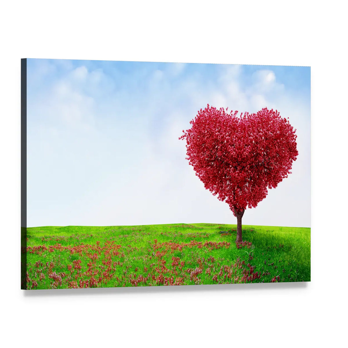Red Heart Tree in Summer Meadow Canvas Wall Art, single panel gallery wrapped canvas, angled product view