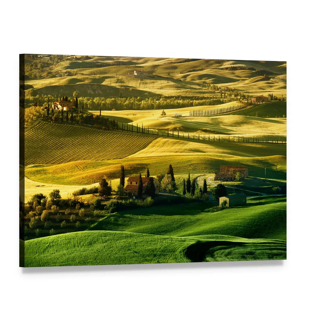 Tuscany Rolling Hills at Golden Hour Canvas Wall Art, single panel gallery wrapped canvas, angled product view
