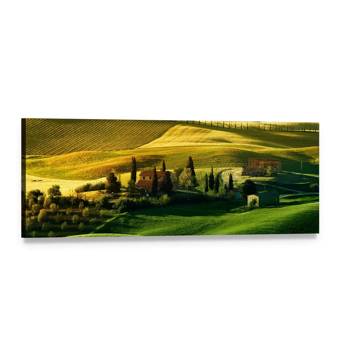 Tuscan Hills at Golden Hour Panoramic Canvas Wall Art, single panel gallery wrapped canvas, angled product view