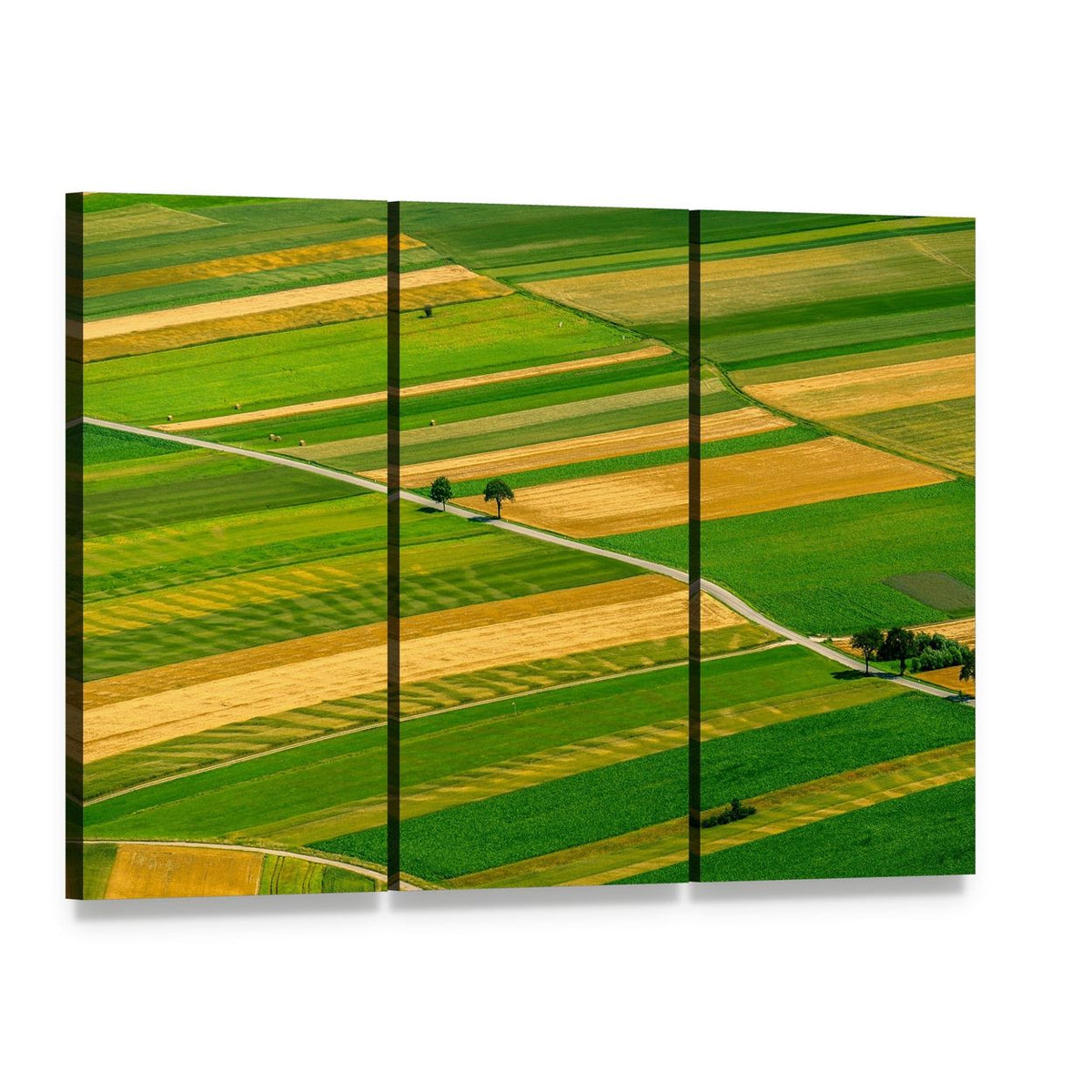 Green Fields View Before Harvest Canvas Wall Art, 3 panel 3 Horizontal layout gallery wrapped canvas set, angled product view