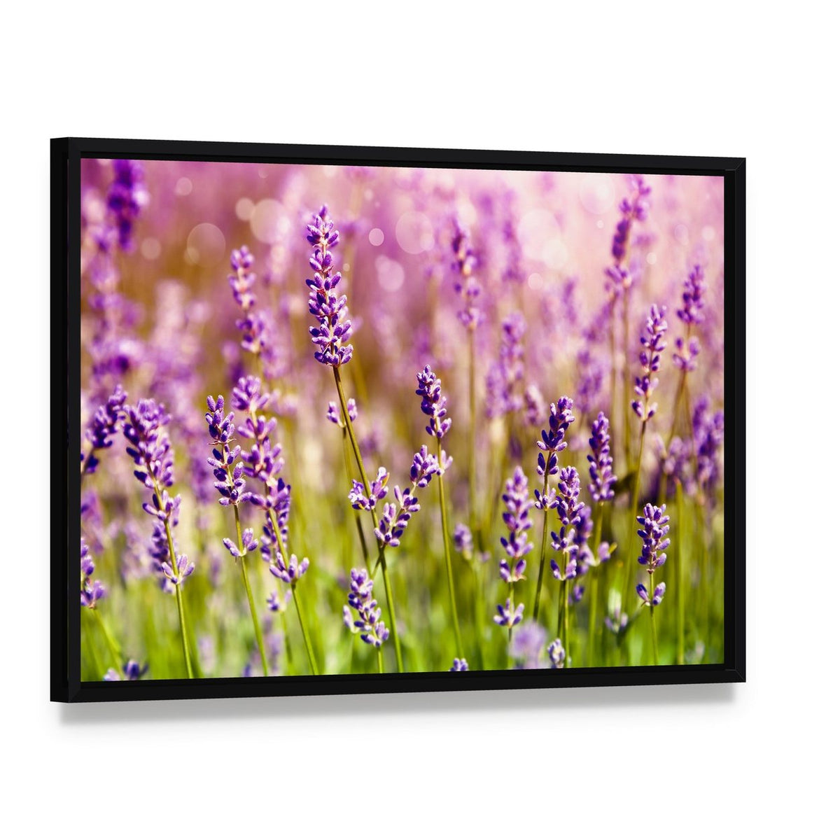 Lavender Floral Scene Canvas Wall Art, framed canvas in a black floater frame, angled product view
