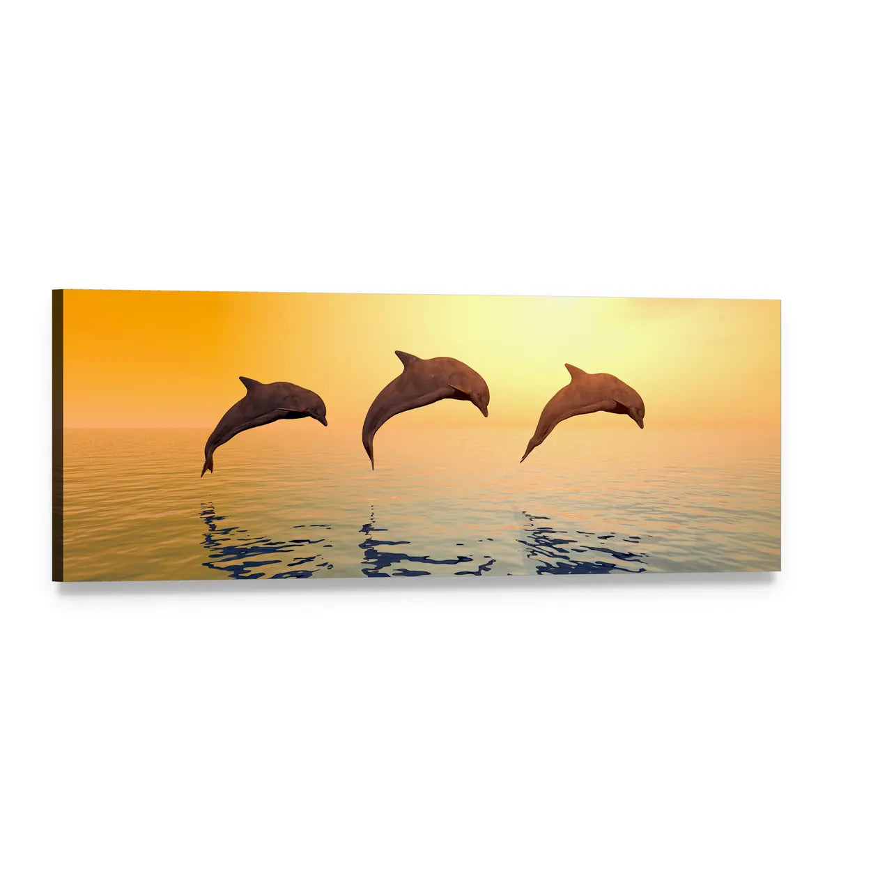 Three Jumping Dolphins at Sunrise Panoramic Canvas Wall Art, single panel gallery wrapped canvas, angled product view