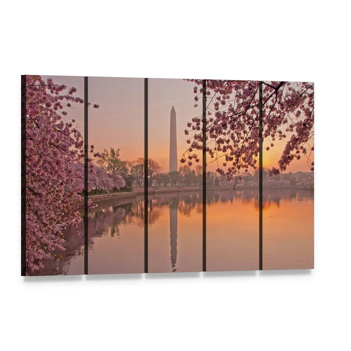 Tidal Basin Cherry Blossoms at Sunrise Canvas Wall Art, 5 panel 5 Horizontal layout gallery wrapped canvas set, angled product view