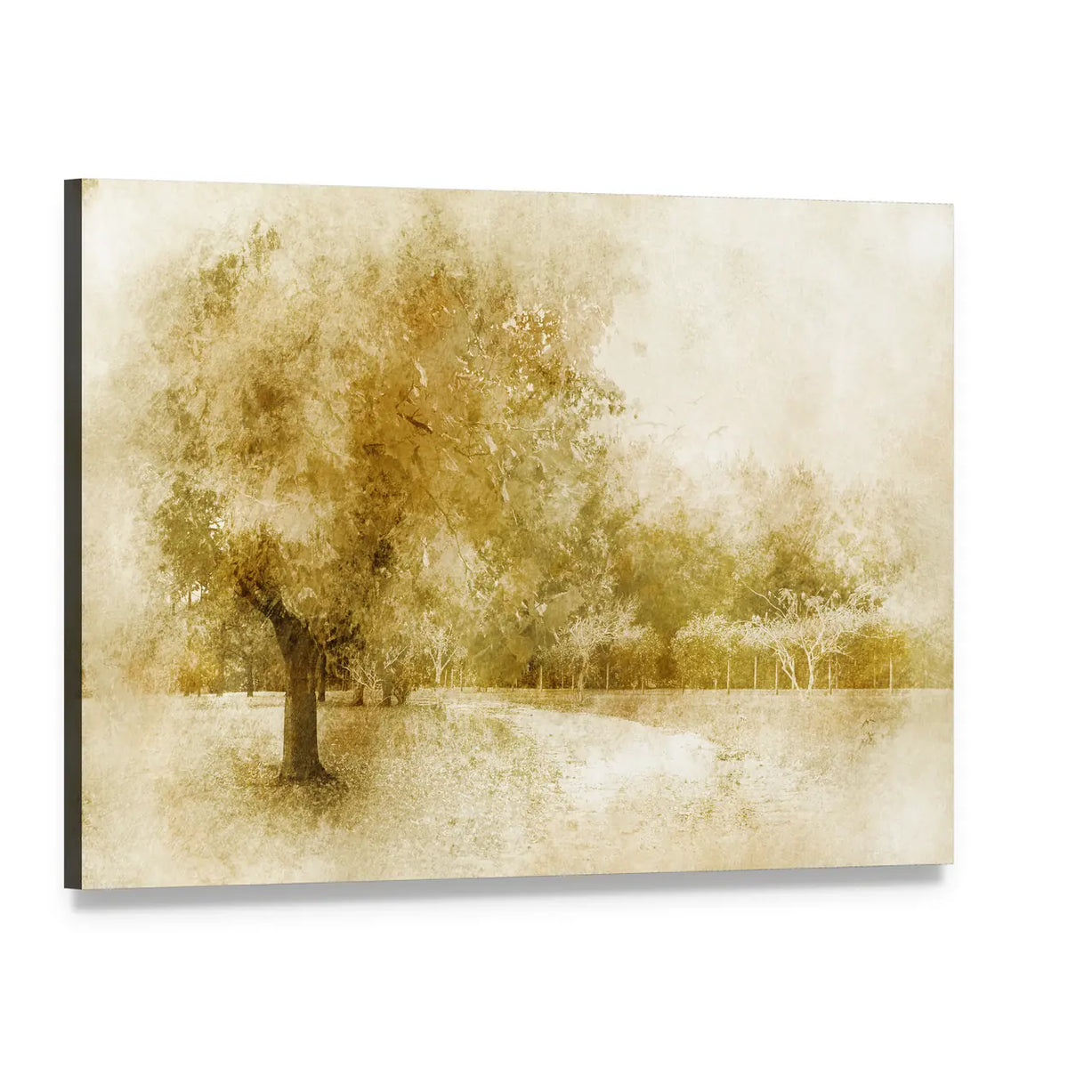 Sepia Autumn Park with Lone Tree Canvas Wall Art, single panel gallery wrapped canvas, angled product view