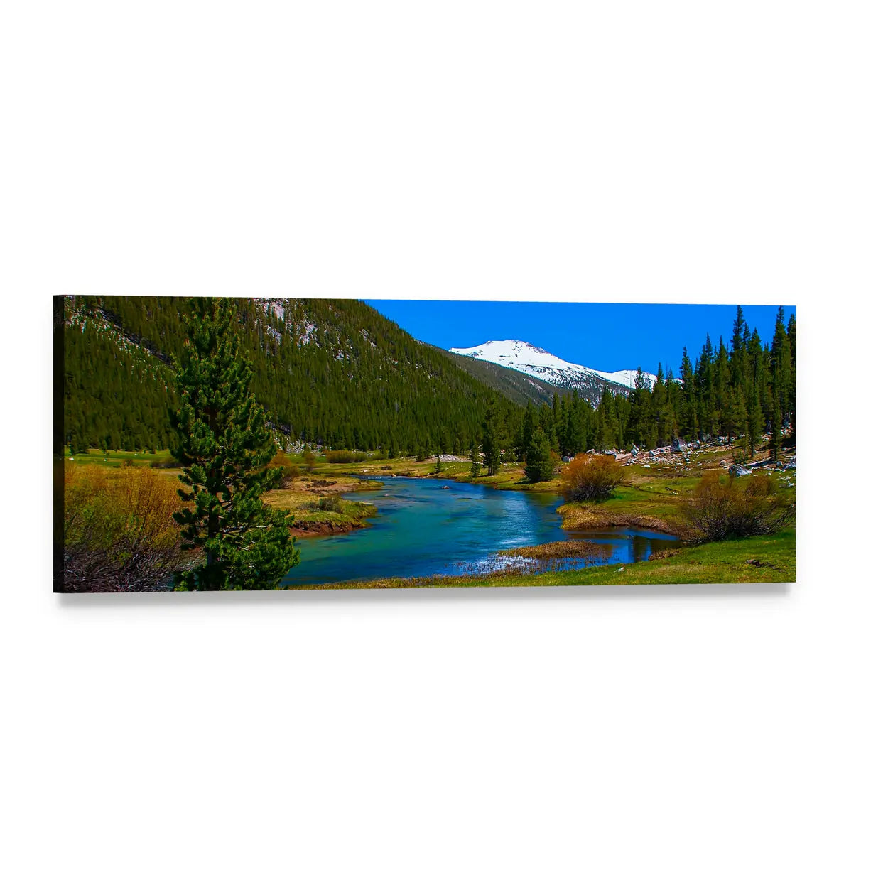Lyell Fork Tuolumne River with Snow-capped Peak Panoramic Canvas Wall Art, single panel gallery wrapped canvas, angled product view