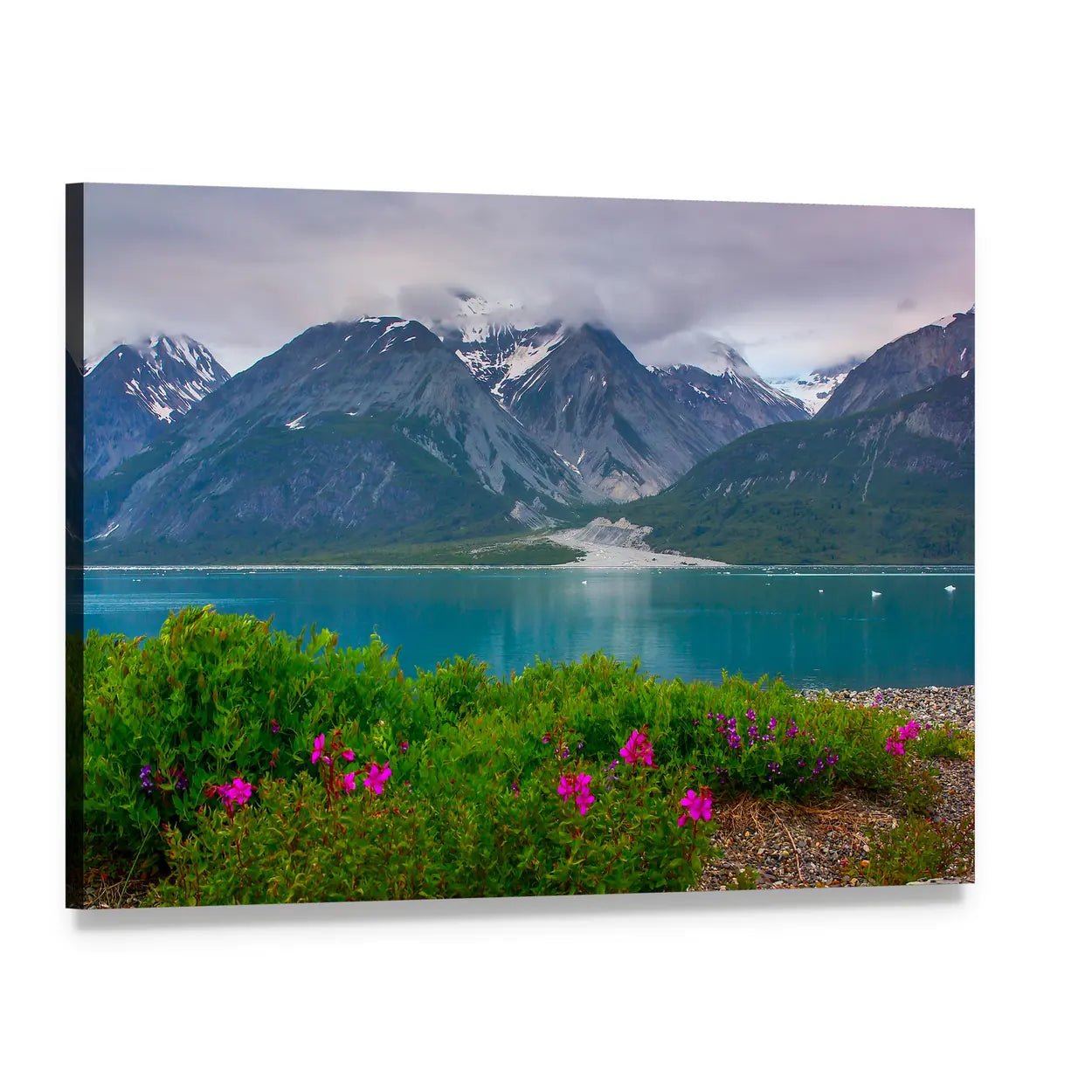 Glacier Bay Wildflowers and Snow-capped Mountains Canvas Wall Art, single panel gallery wrapped canvas, angled product view
