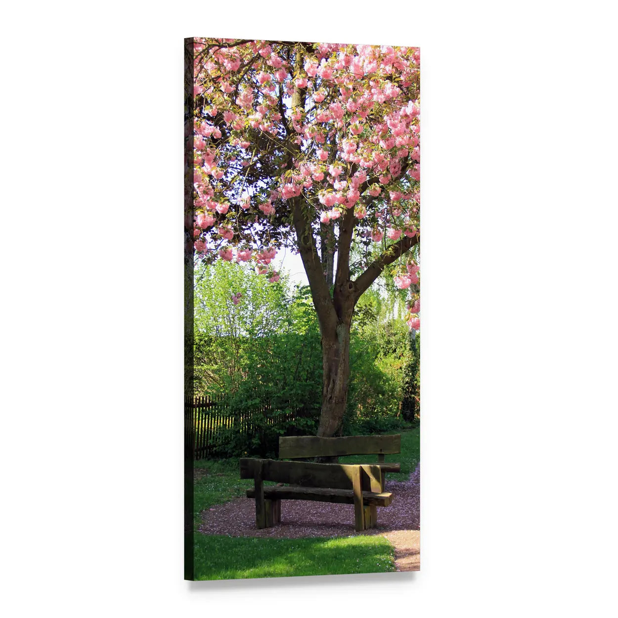 Pink Cherry Blossom Tree with Bench Vertical Canvas Wall Art, 1 panel 1 Vertical layout gallery wrapped canvas set, angled product view