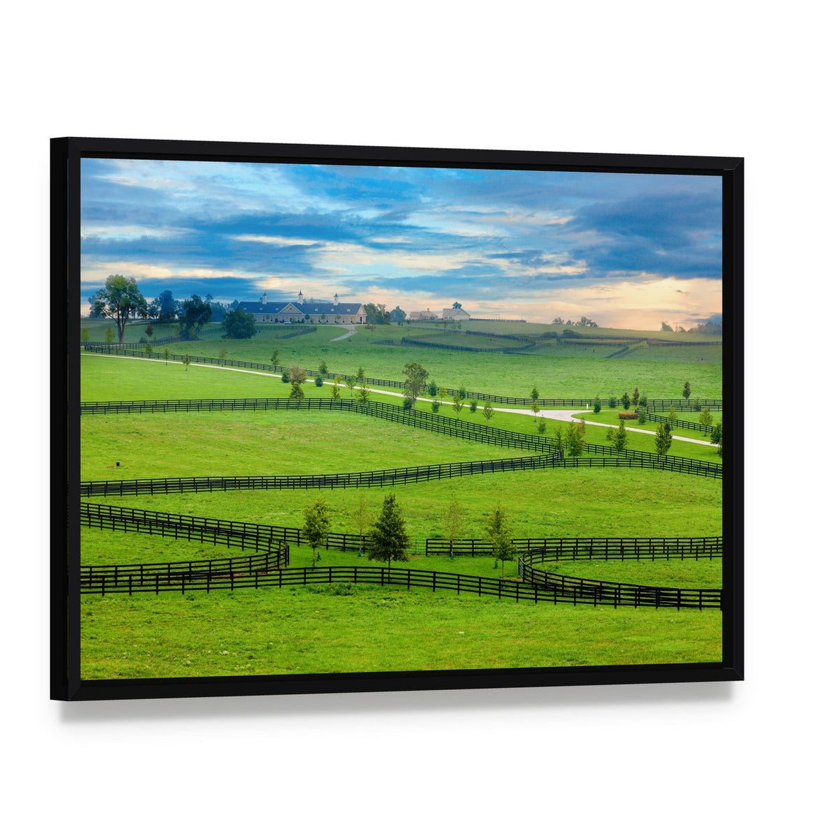 Horse Farm in Kentucky Canvas Wall Art, framed canvas in a black floater frame, angled product view