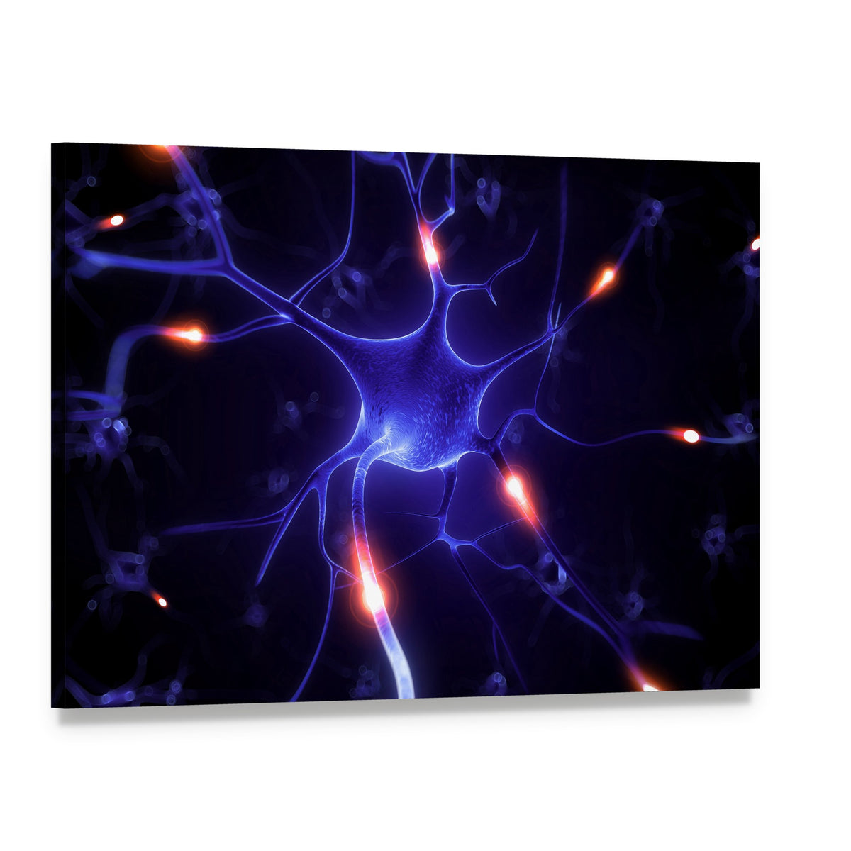 Neuron Illustration with Glowing Dendrites Canvas Wall Art, single panel gallery wrapped canvas, angled product view