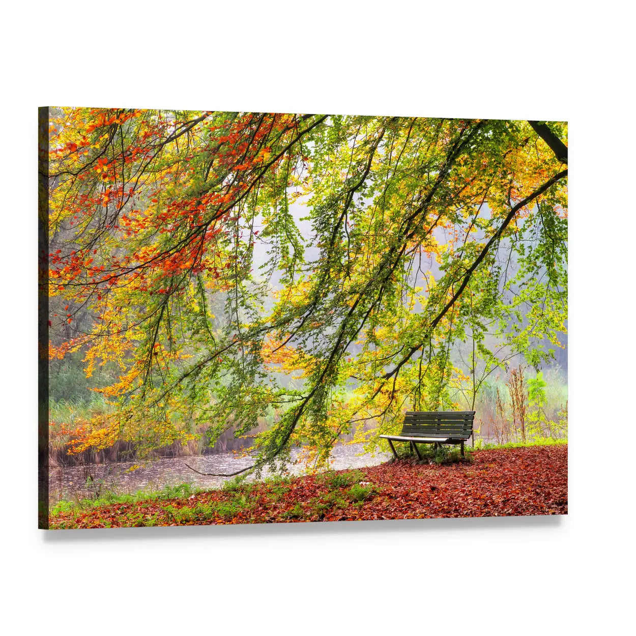 Bench Under an Autumn Tree Canvas Wall Art, single panel gallery wrapped canvas, angled product view