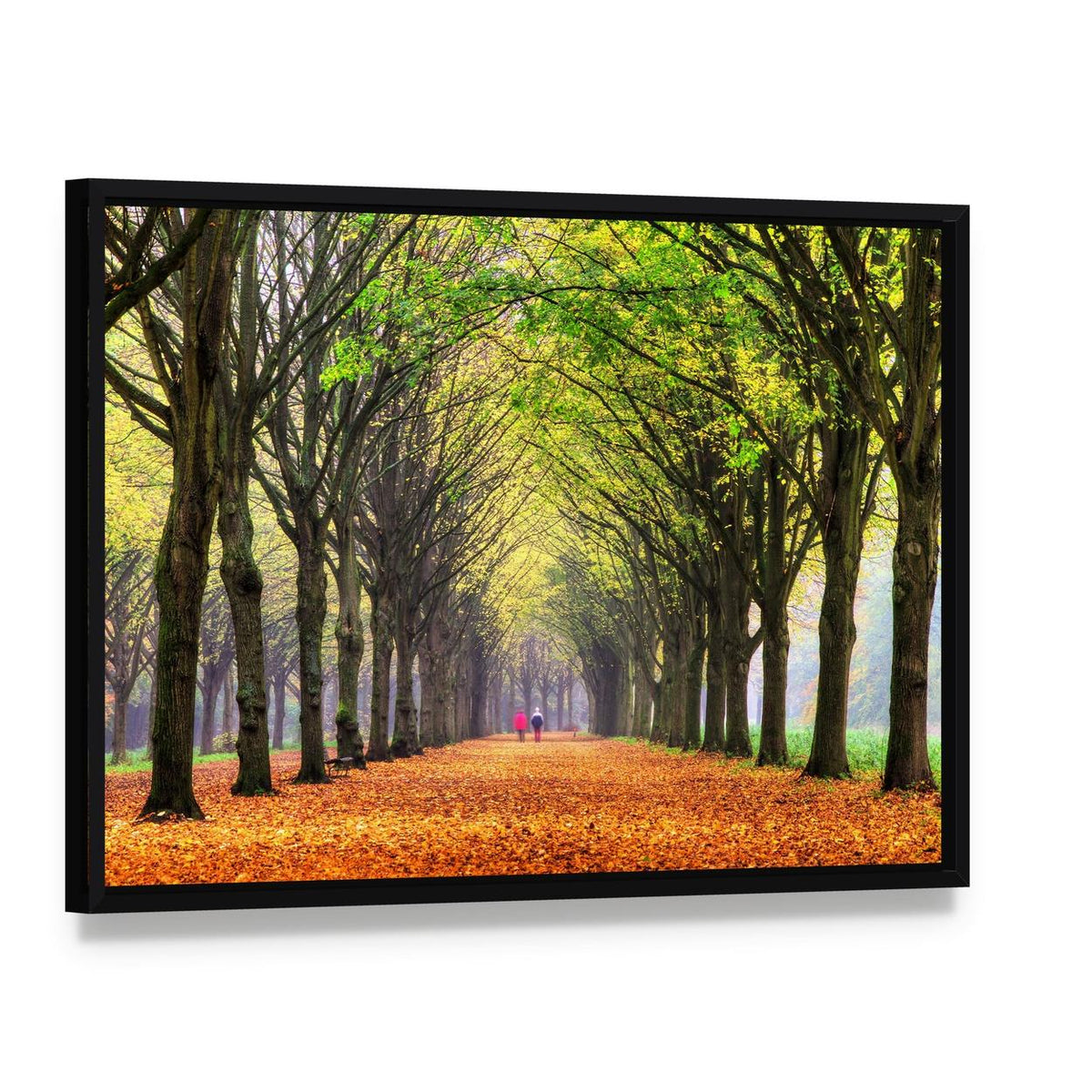 Autumn Path Through Amsterdam Forest Canvas Wall Art, framed canvas in a black floater frame, angled product view