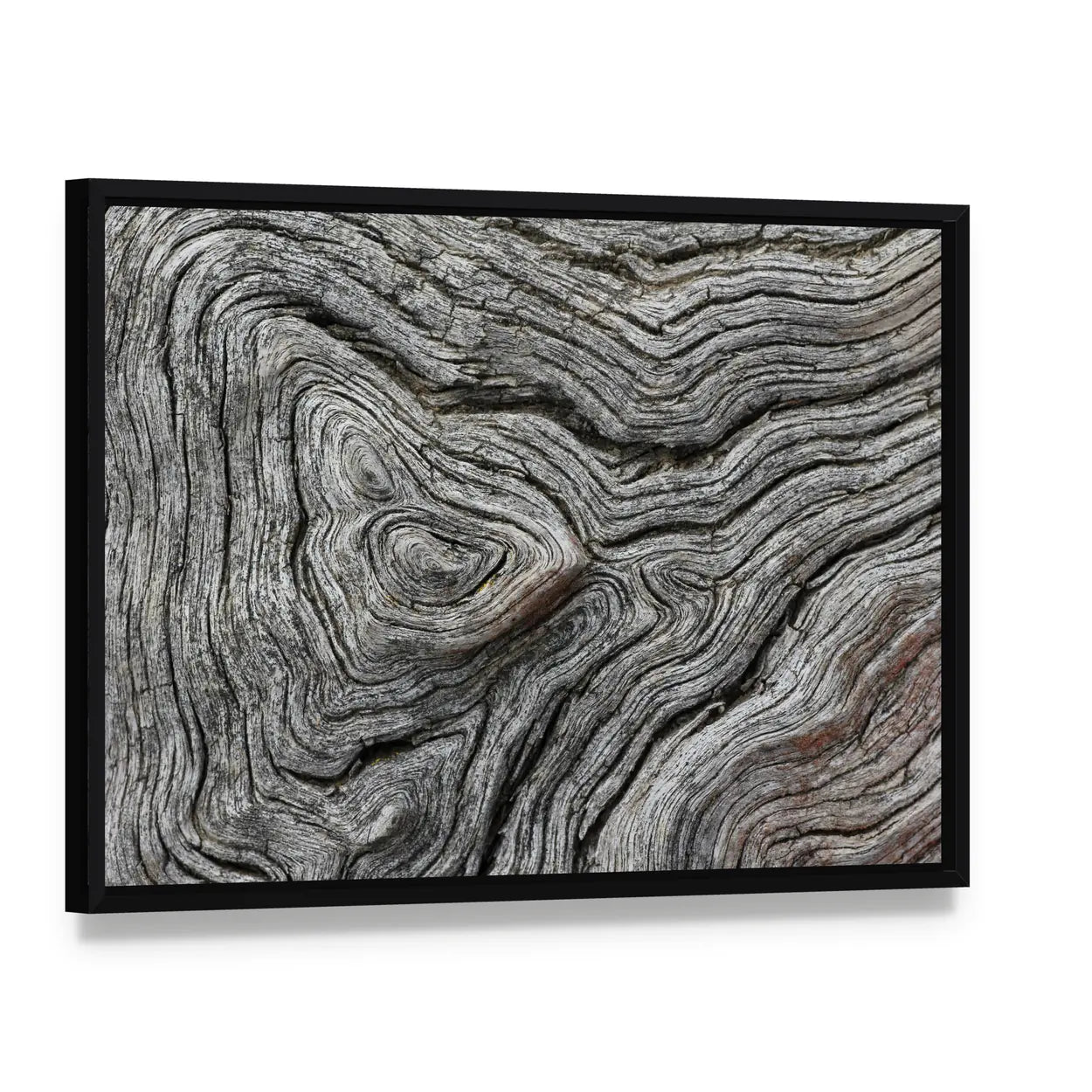 Weathered Wood Grain Macro Canvas Wall Art, framed canvas in a black floater frame, angled product view