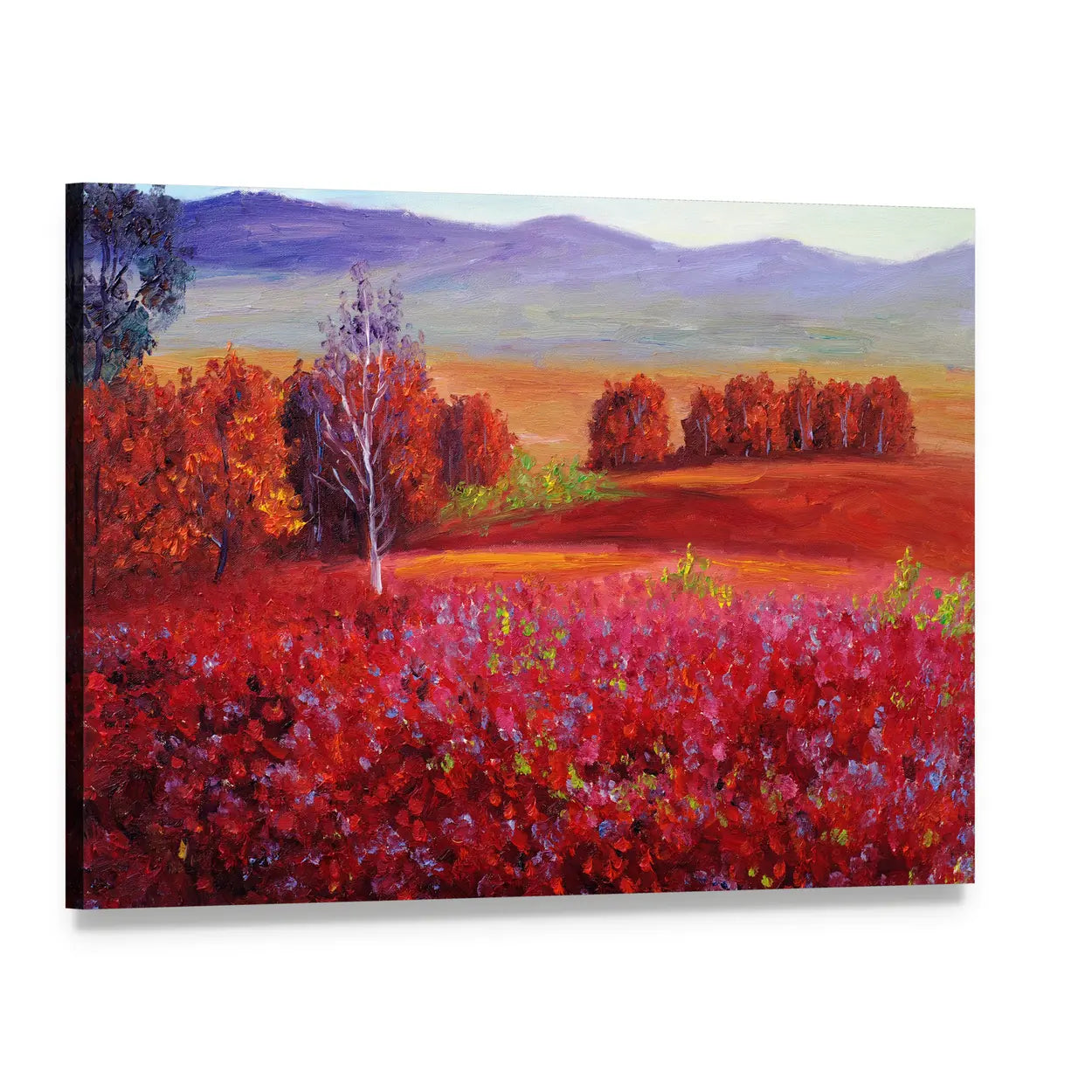 Red Flower Field with White Birch Canvas Wall Art, single panel gallery wrapped canvas, angled product view