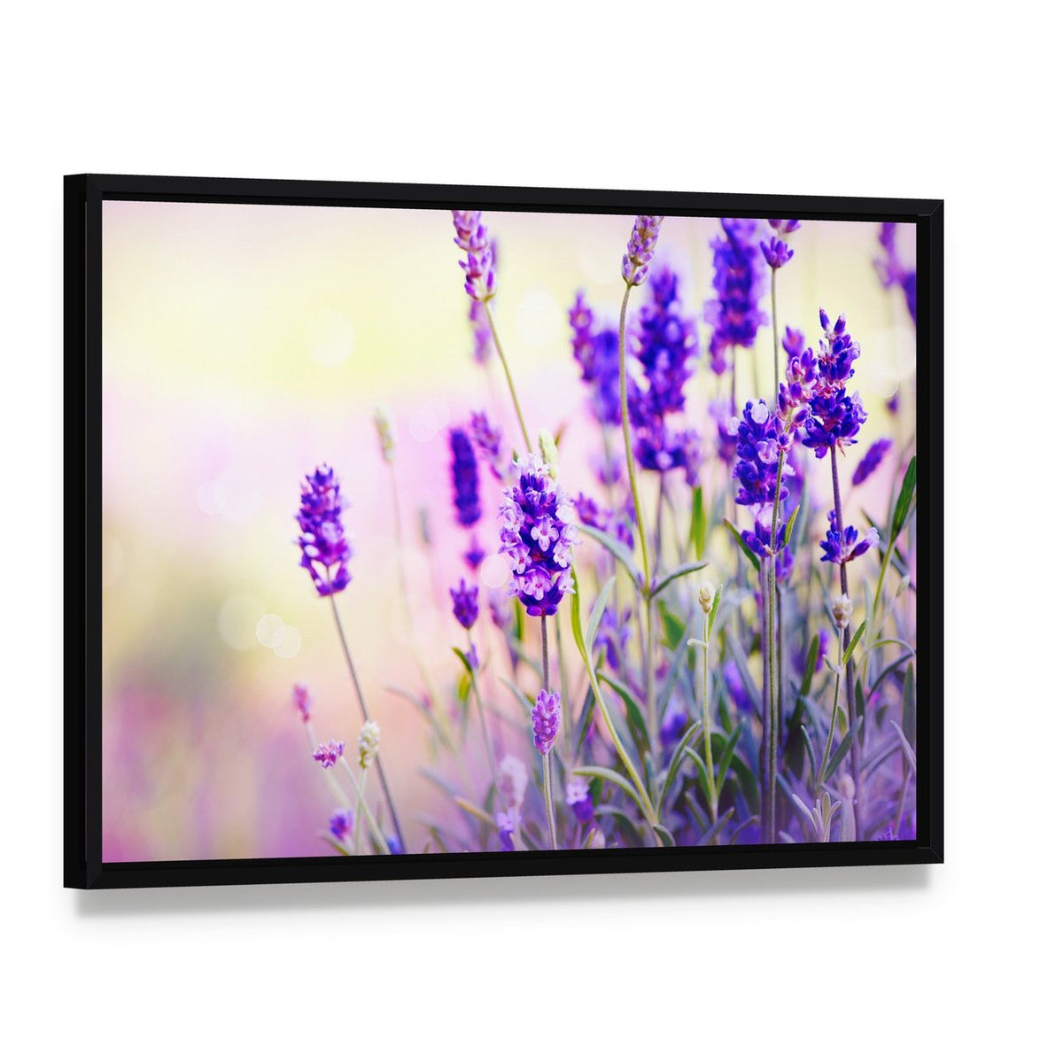 Lavender Field Canvas Wall Art, framed canvas in a black floater frame, angled product view