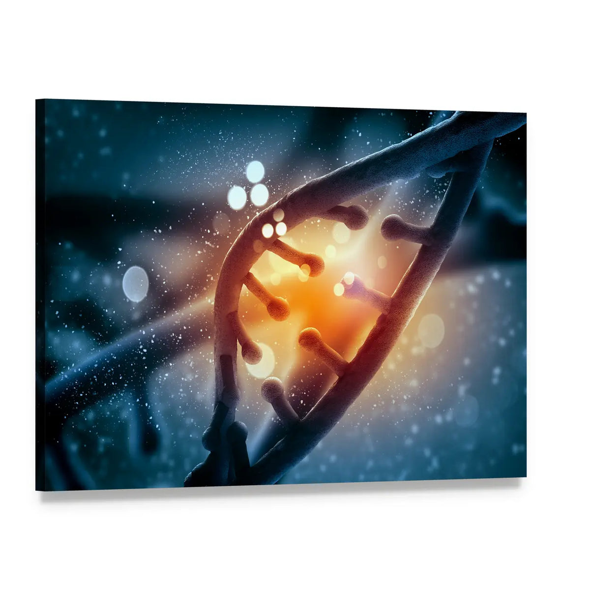 Dna Double Helix Close-up Canvas Wall Art, single panel gallery wrapped canvas, angled product view