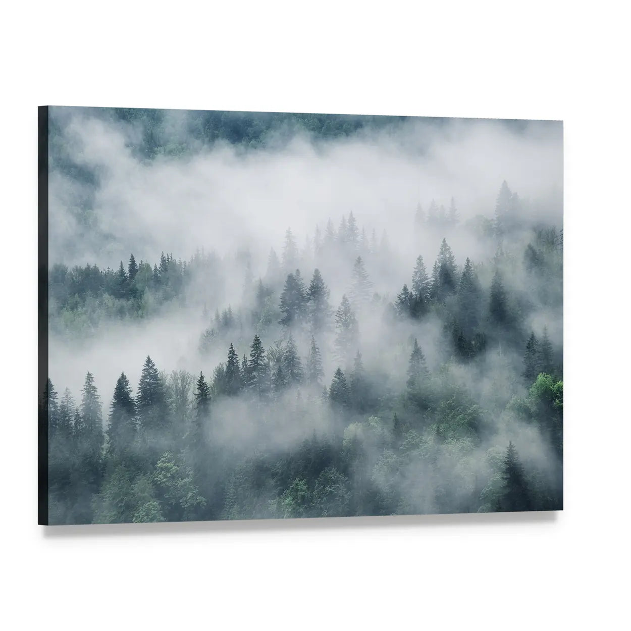 Foggy Forest In The Mountains Canvas Wall Art, single panel gallery wrapped canvas, angled product view