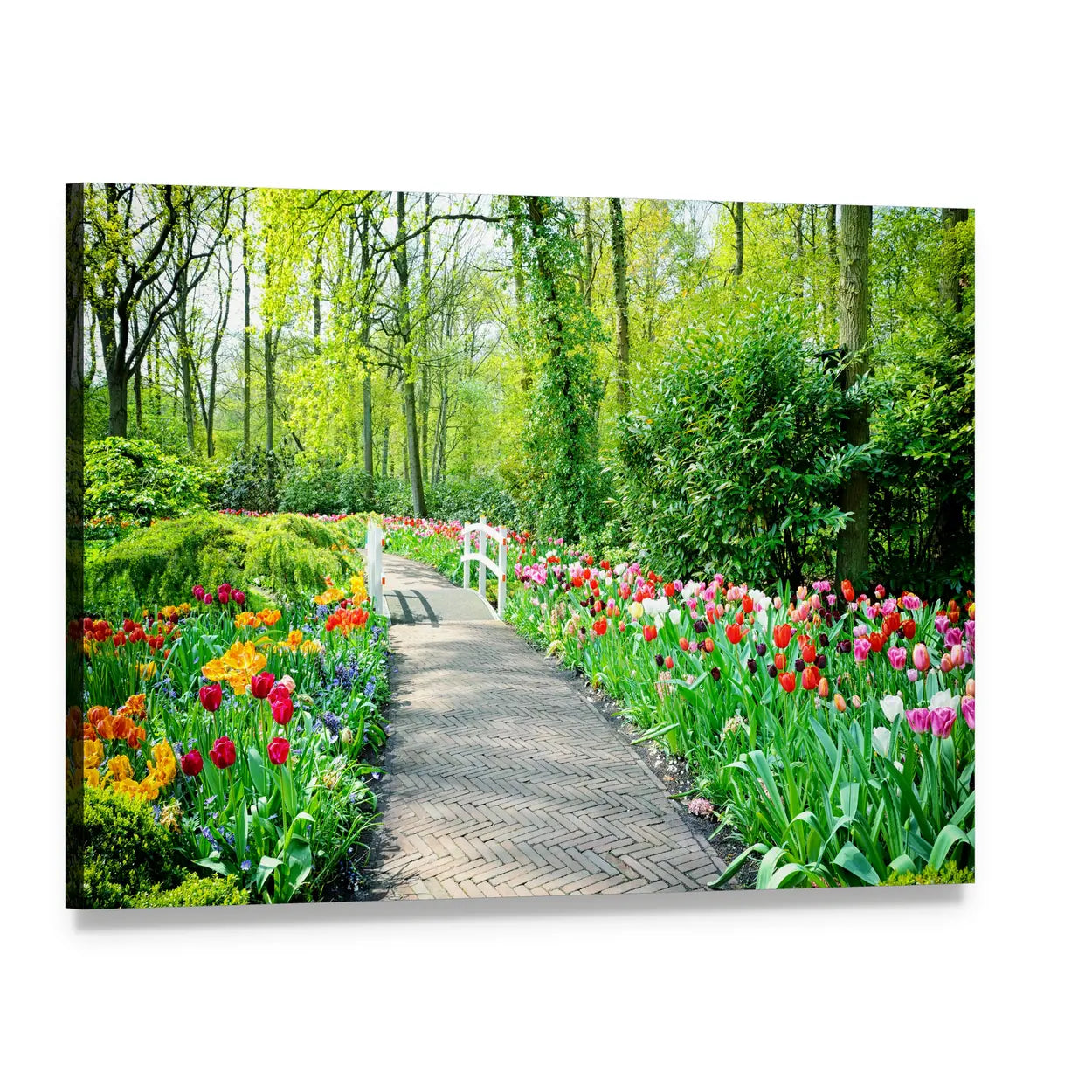 Multicolored Tulips in Keukenhof Gardens Canvas Wall Art, single panel gallery wrapped canvas, angled product view