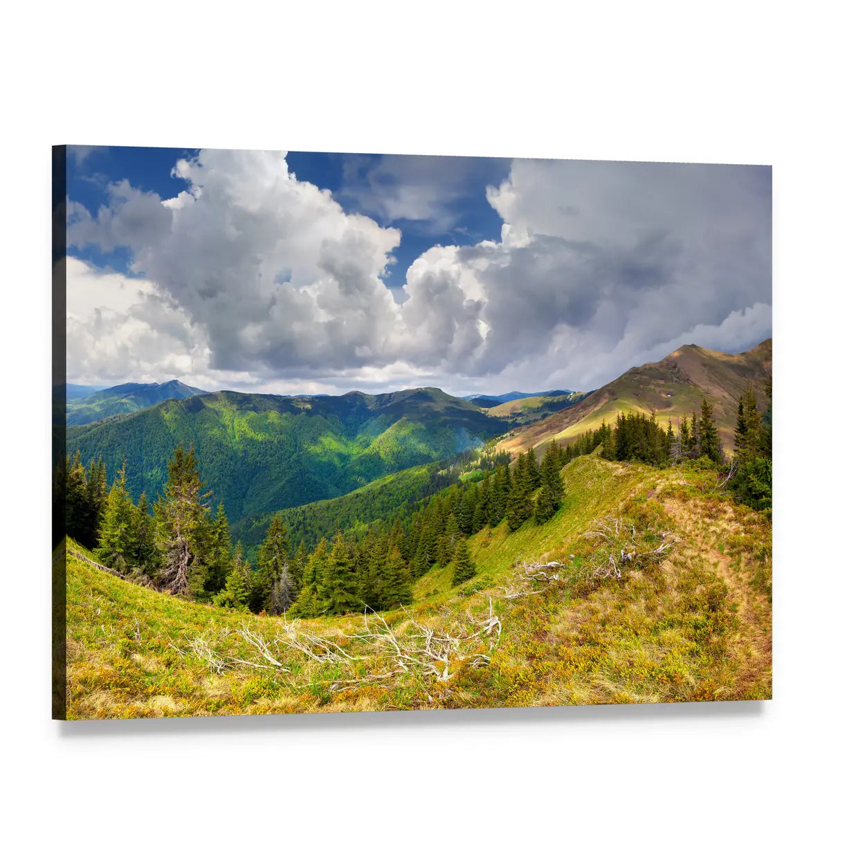 Spring Landscape in the Carpathian Mountains Canvas Wall Art, single panel gallery wrapped canvas, angled product view