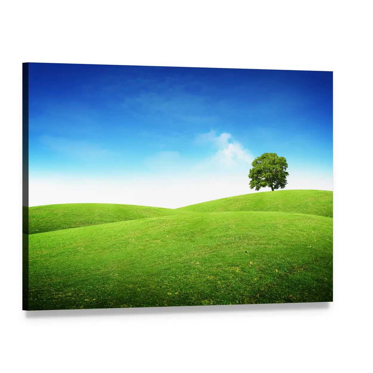Lone Tree on Rolling Green Hills Canvas Wall Art, single panel gallery wrapped canvas, angled product view