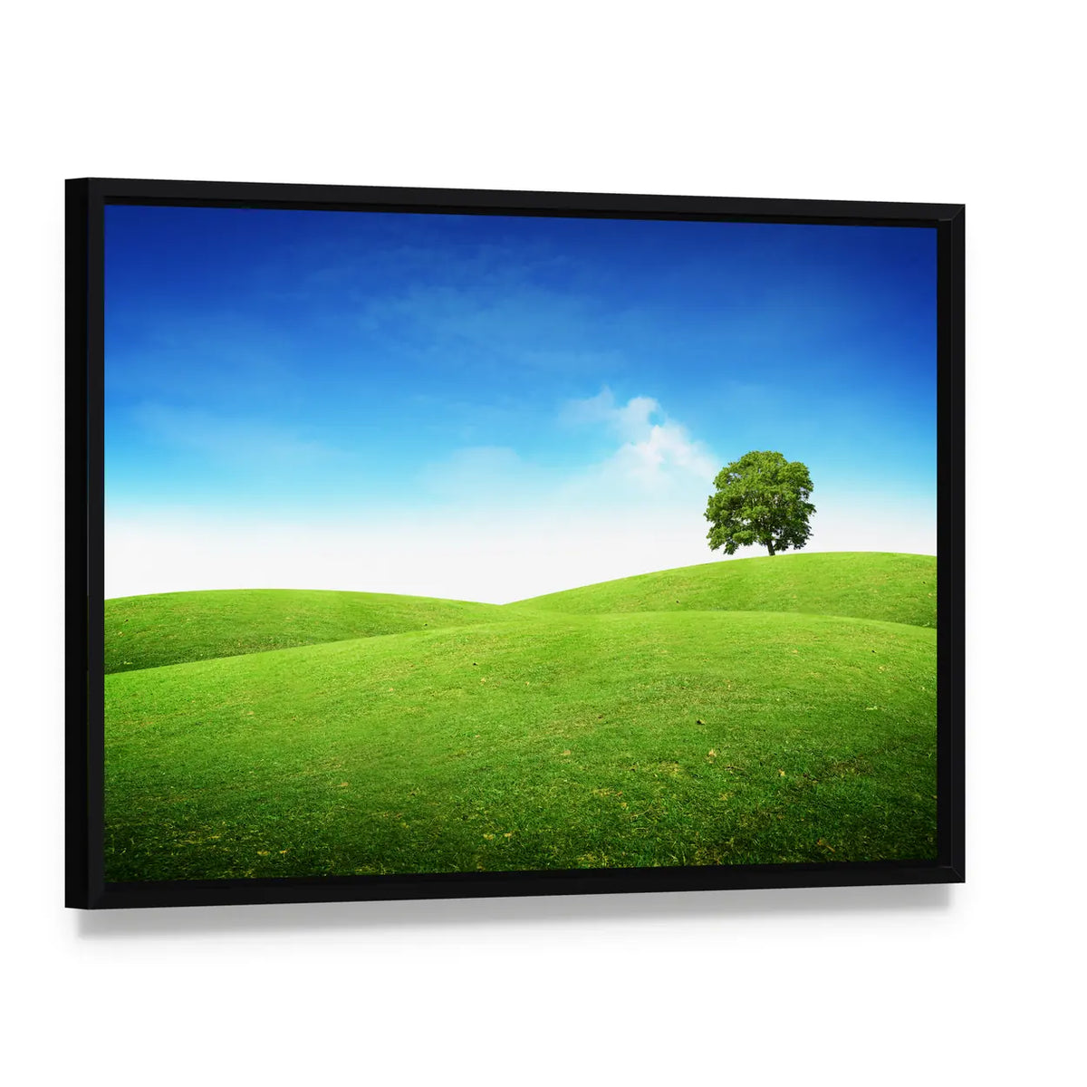 Lone Tree on Rolling Green Hills Canvas Wall Art, framed canvas in a black floater frame, angled product view