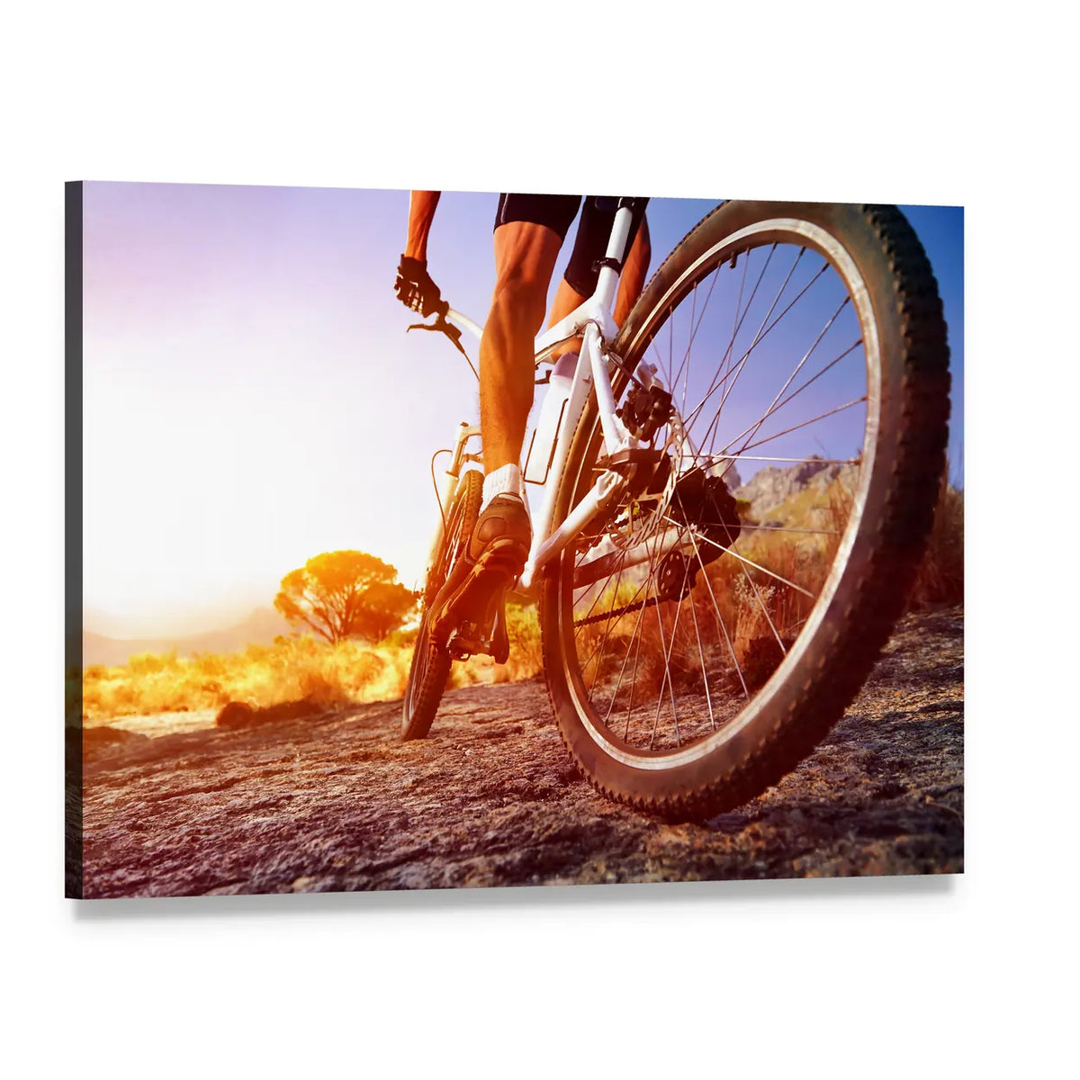 Mountain Biker on Rocky Trail Canvas Wall Art, single panel gallery wrapped canvas, angled product view