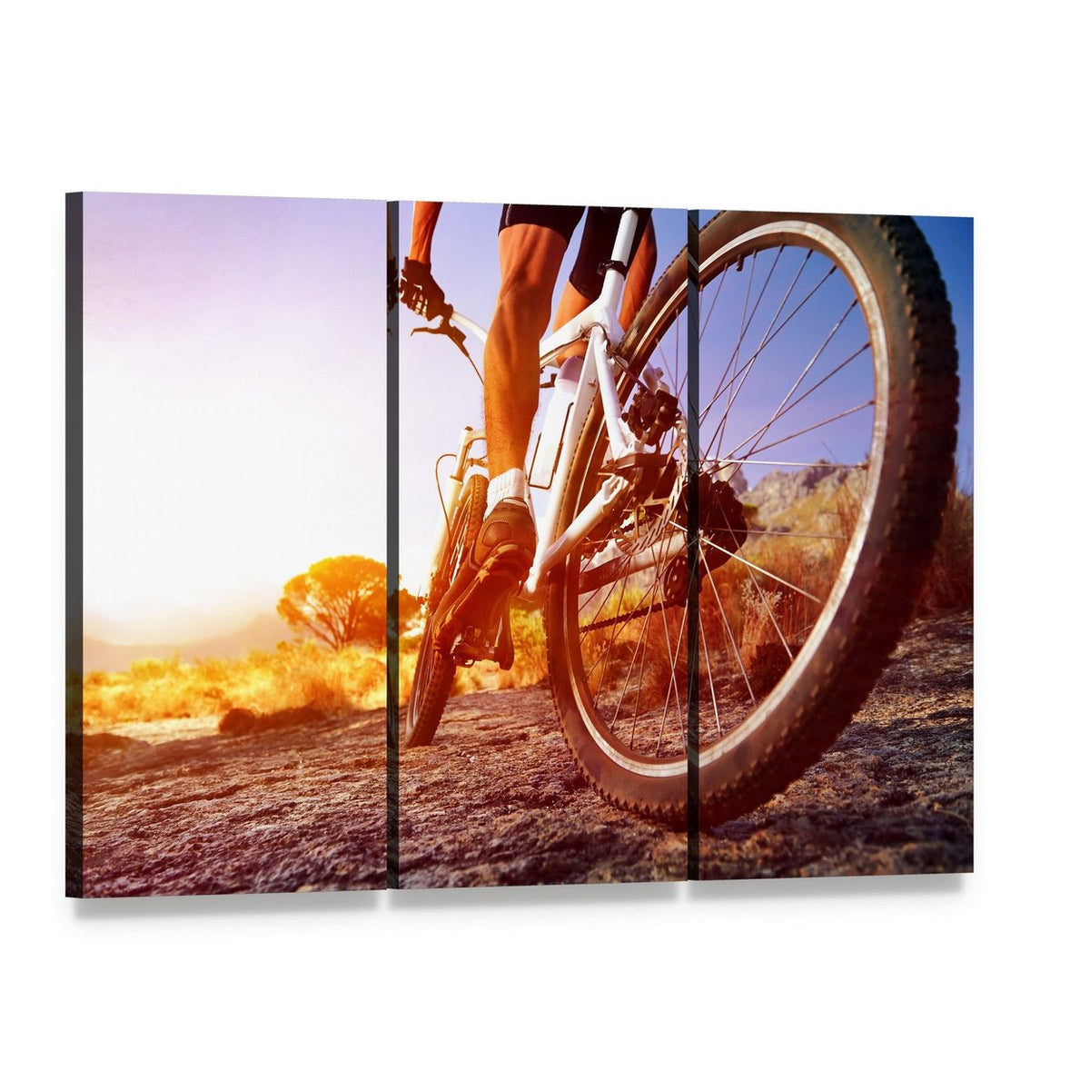 Cyclist on Rocky Trail Canvas Wall Art, 3 panel 3 Horizontal layout gallery wrapped canvas set, angled product view